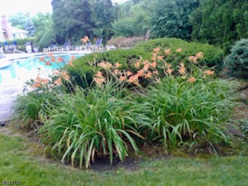 684 Longview Road South Orange, NJ 07079 - Photo 39 of 41