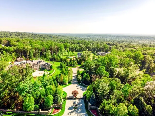 an aerial view of residential houses with outdoor space and trees