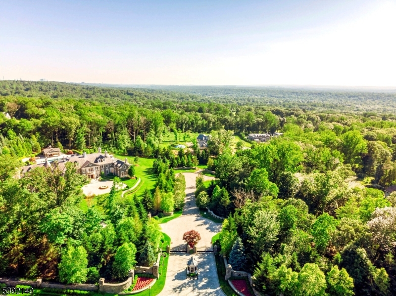 an aerial view of residential houses with outdoor space and trees