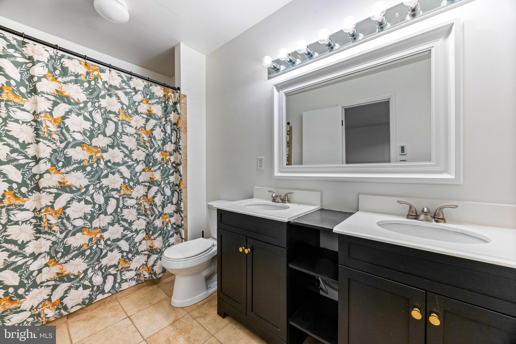6909 Jones View Drive, Unit 1A Baltimore, MD 21209 - Photo 20 of 30 a bathroom with a sink and a mirror