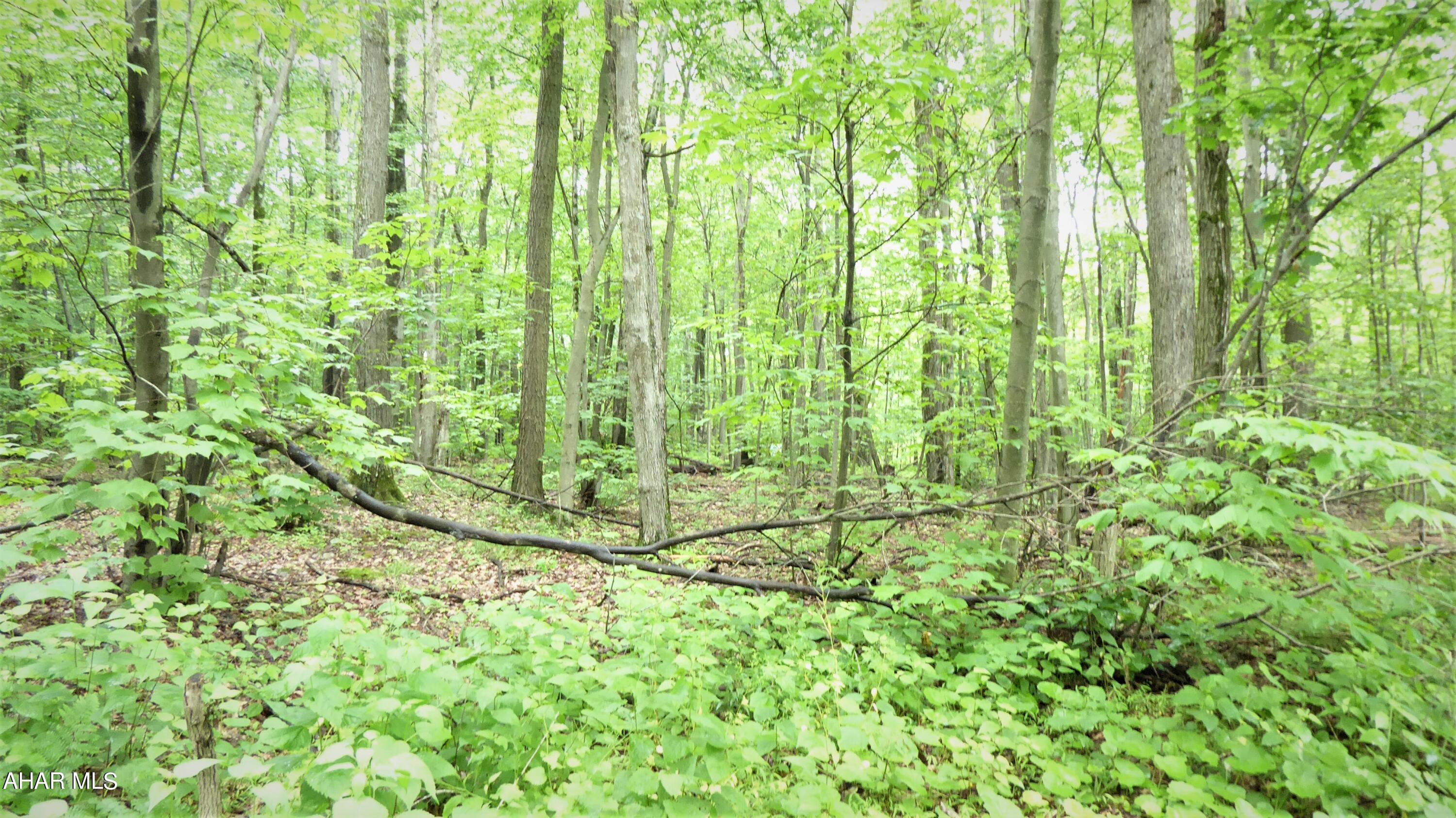 0 Ridge Run Road Claysburg, PA 16625 - Photo 15 of 24