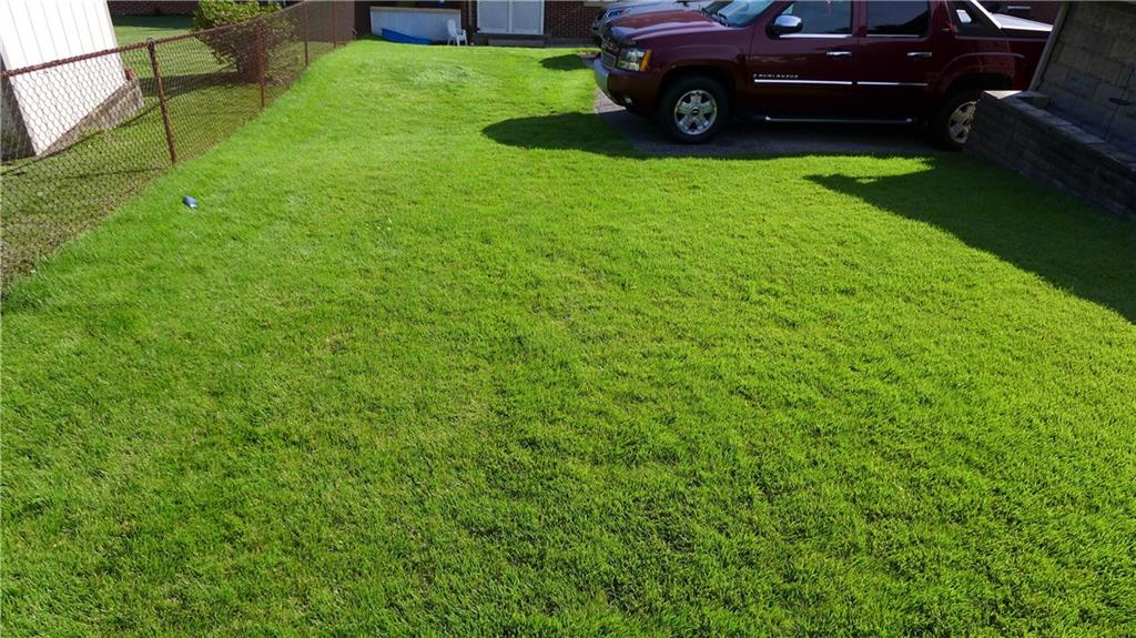 1097 Broughton Road Pittsburgh, PA 15236 - Photo 21 of 25 Lush....lush, green yard.