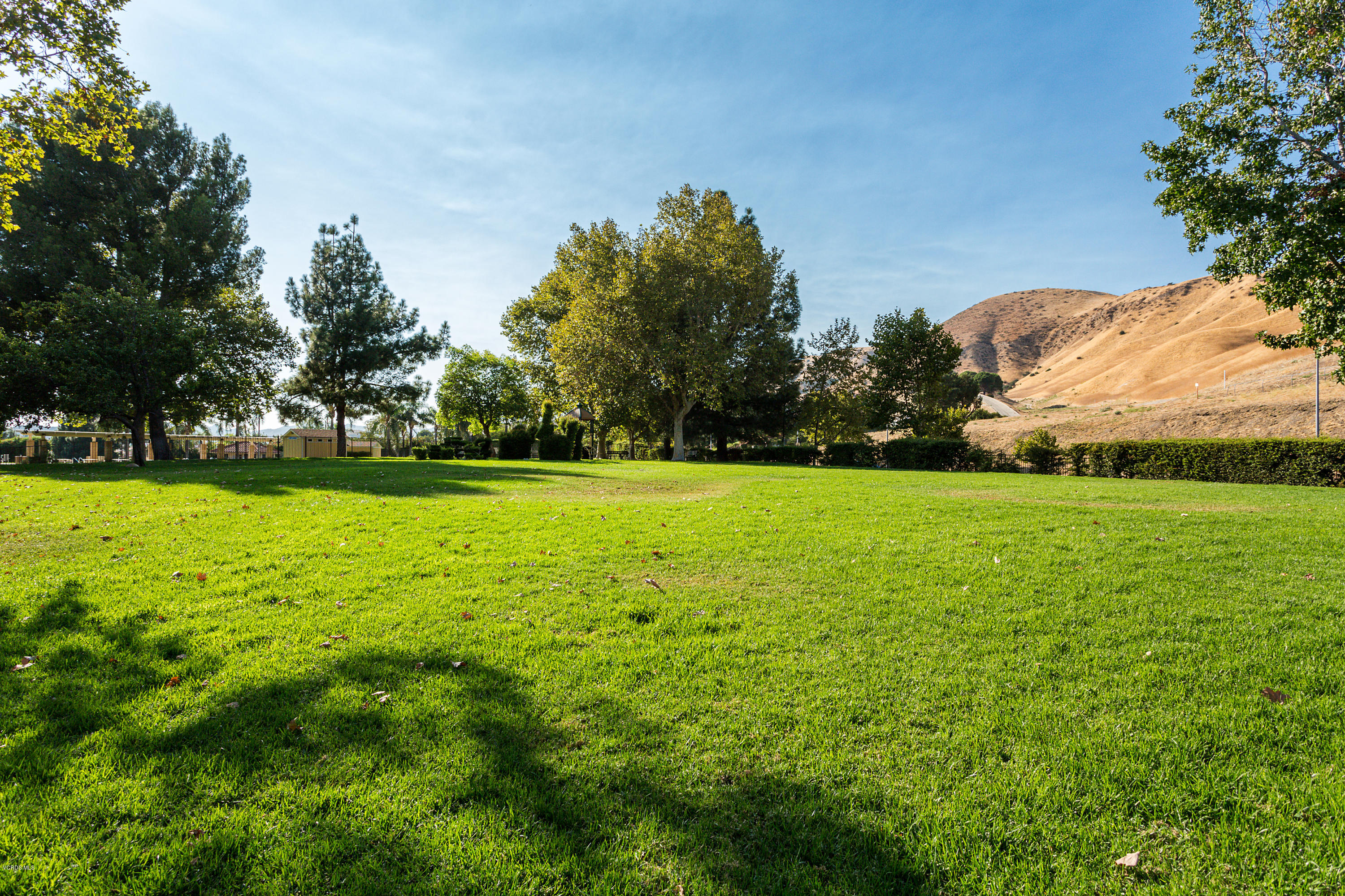19641 Turtle Springs Way Porter Ranch, CA 91326 - Photo 30 of 31 a view of a field with plants and trees