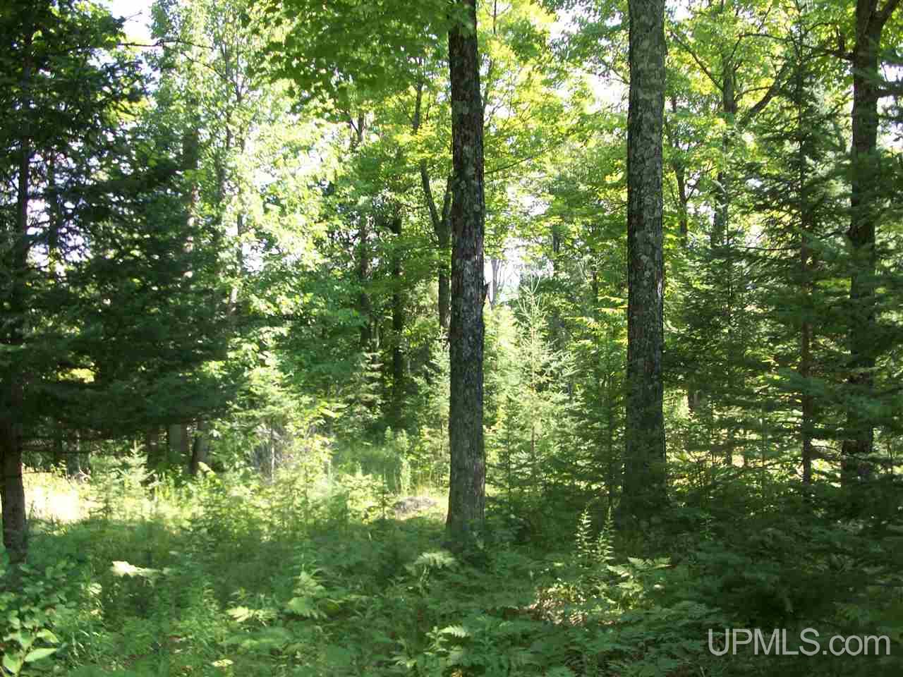 Tbd Off 32nd Road Rapid River, MI 49878 - Photo 1 of 6