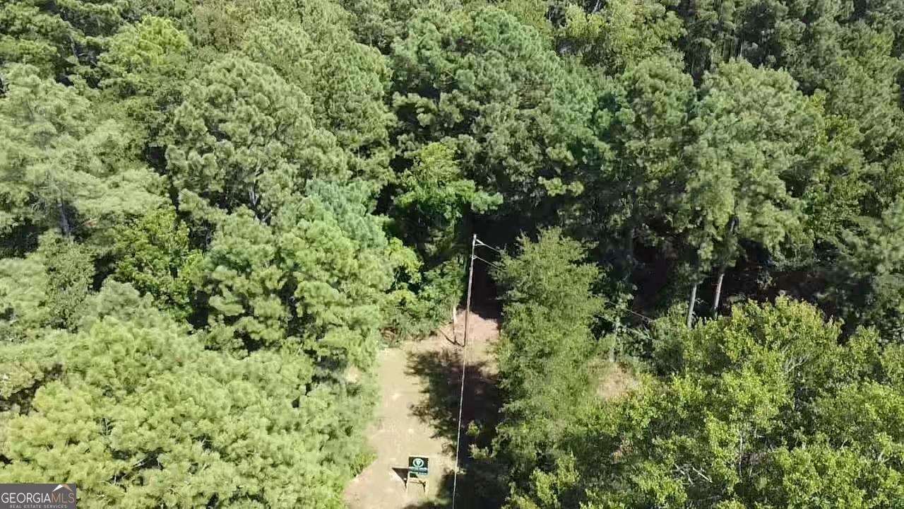 6045 Cara Drive Macon, GA 31216 - Photo 2 of 11 a view of a lush green forest
