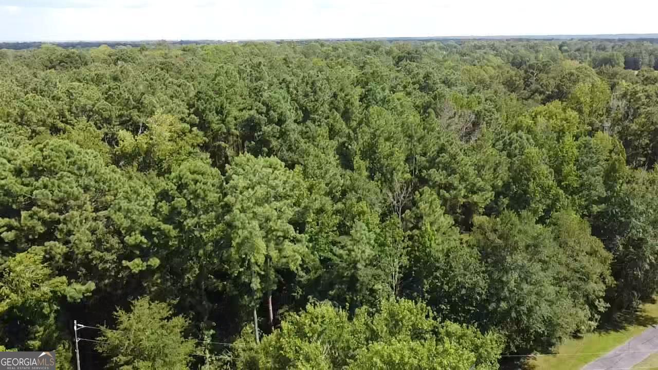 6045 Cara Drive Macon, GA 31216 - Photo 3 of 11