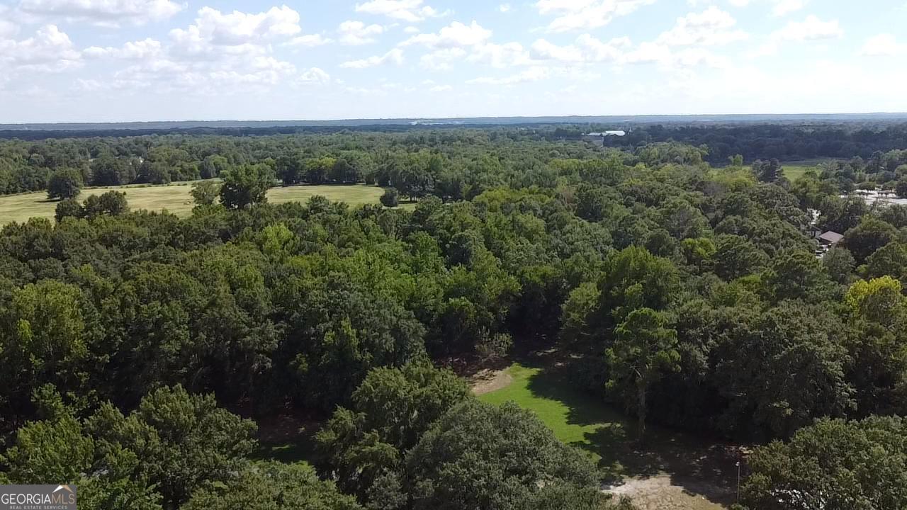 6045 Cara Drive Macon, GA 31216 - Photo 7 of 11 a view of a city with lush green forest