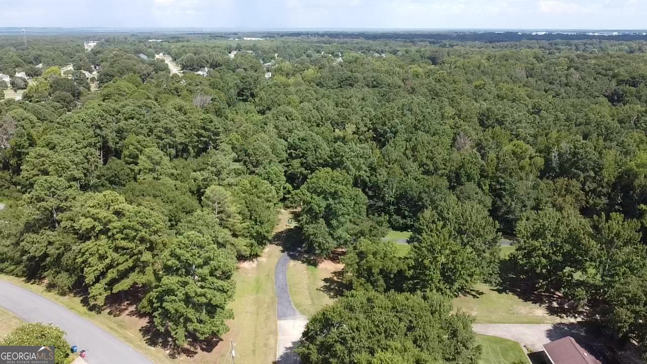 6045 Cara Drive Macon, GA 31216 - Photo 8 of 11 a view of a forest with a street