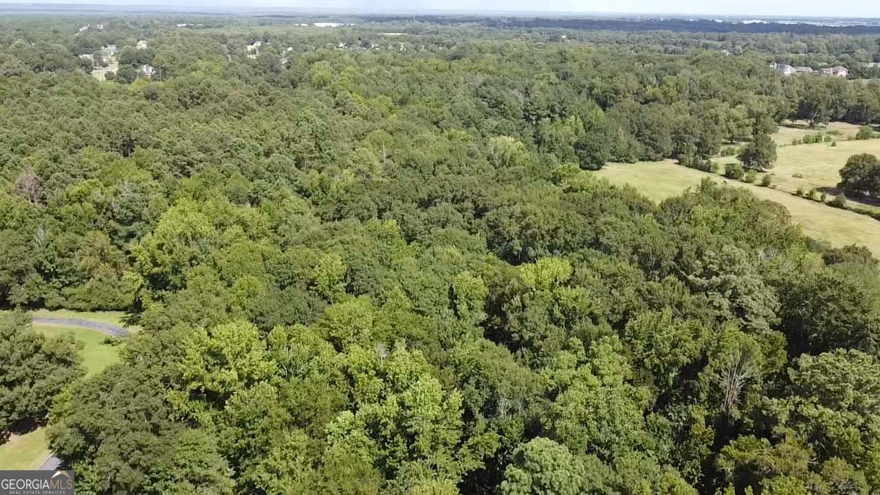 6045 Cara Drive Macon, GA 31216 - Photo 9 of 11 a view of a forest with a street