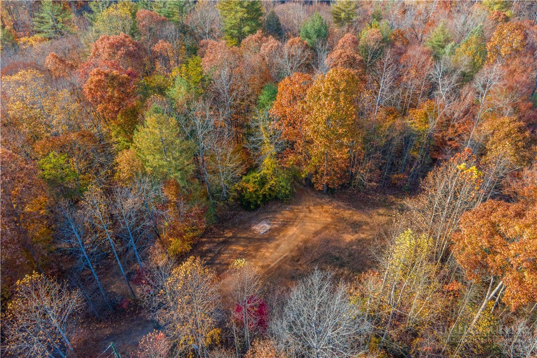 1165 Dehart Community Center Road Hays, NC 28635 - Photo 5 of 11