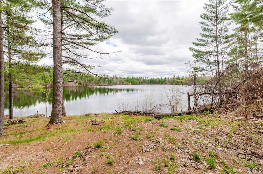 Lot 1 Bingo Road Edwards, NY 13635 - Photo 5 of 28
