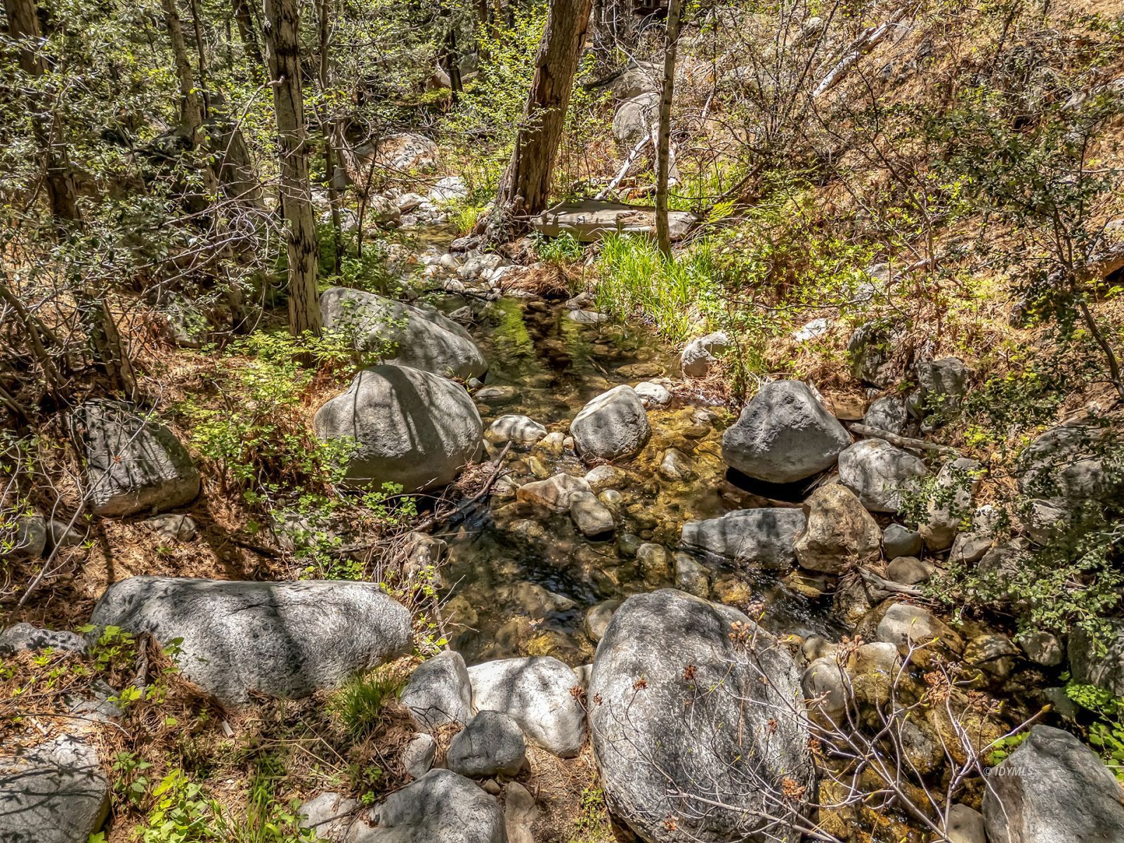 25100 Indian Rock Road Idyllwild, CA 92549 - Photo 73 of 75 a view of a dry yard with lots of bushes