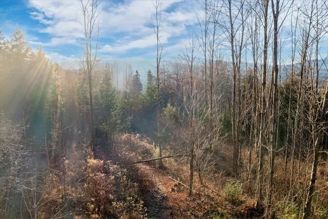 $850,000 | 0 Bear Creek Lane, Waterbury, VT 05676