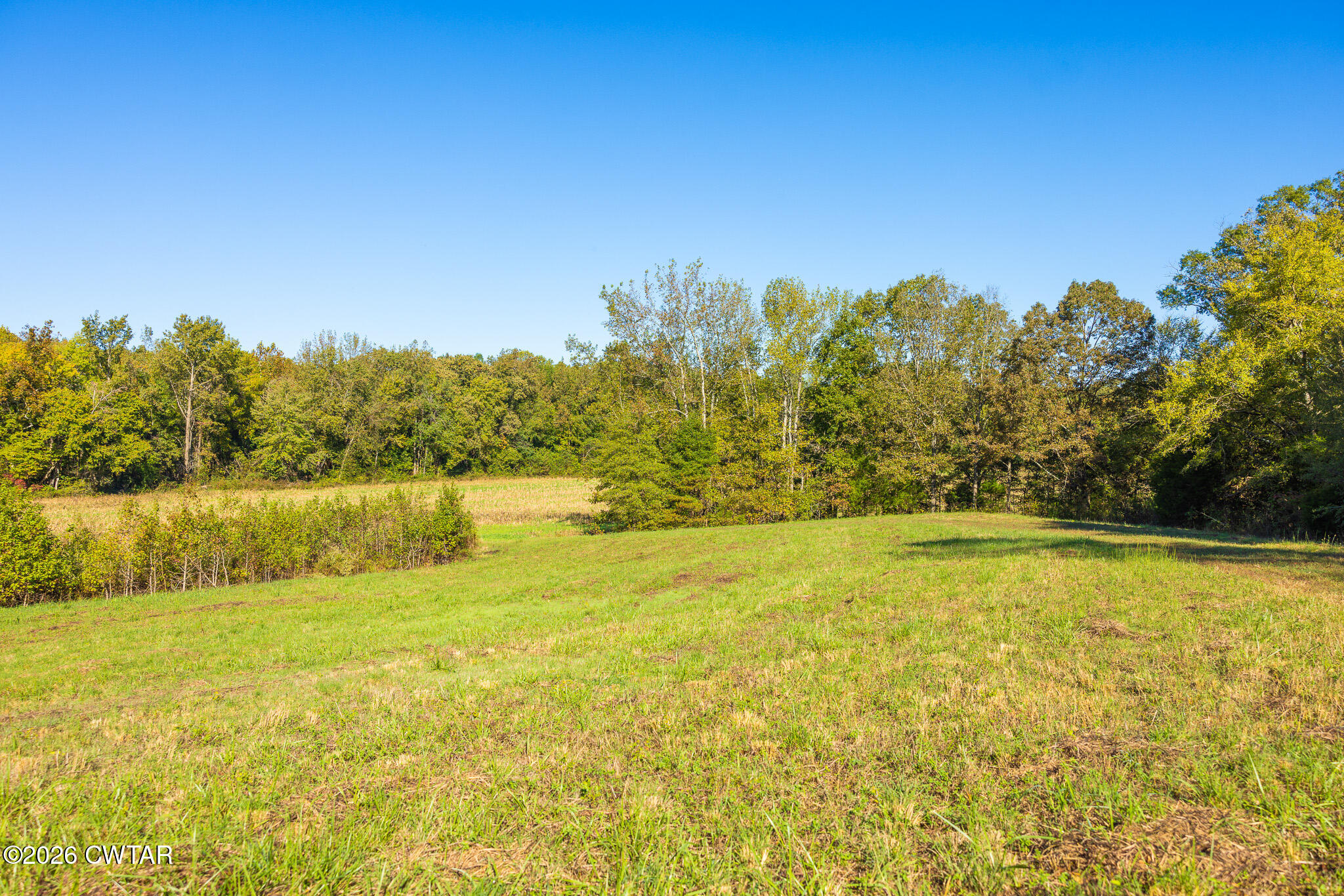 0 Winstead Road Dresden, TN 38225 - Photo 6 of 7 FT8A0081