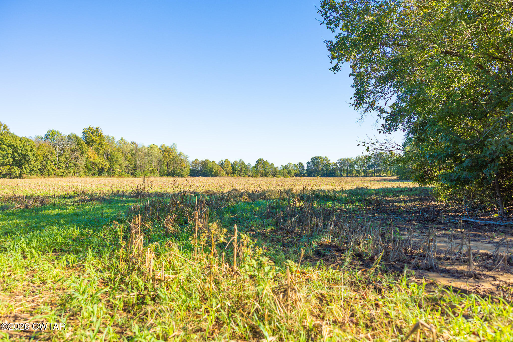 0 Winstead Road Dresden, TN 38225 - Photo 7 of 7 FT8A0083