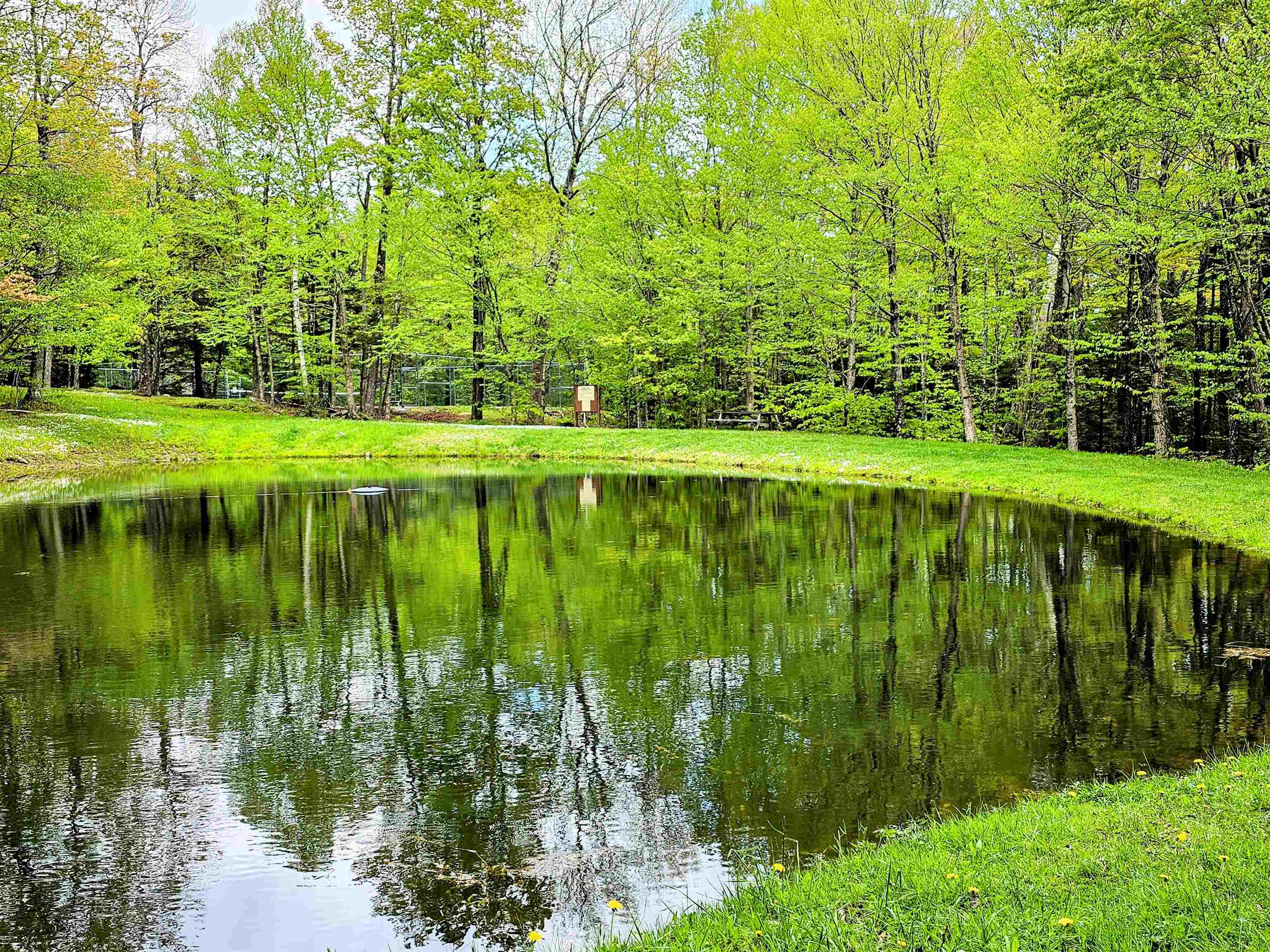 44 Howes Loop Wilmington, VT 05363 - Photo 34 of 37