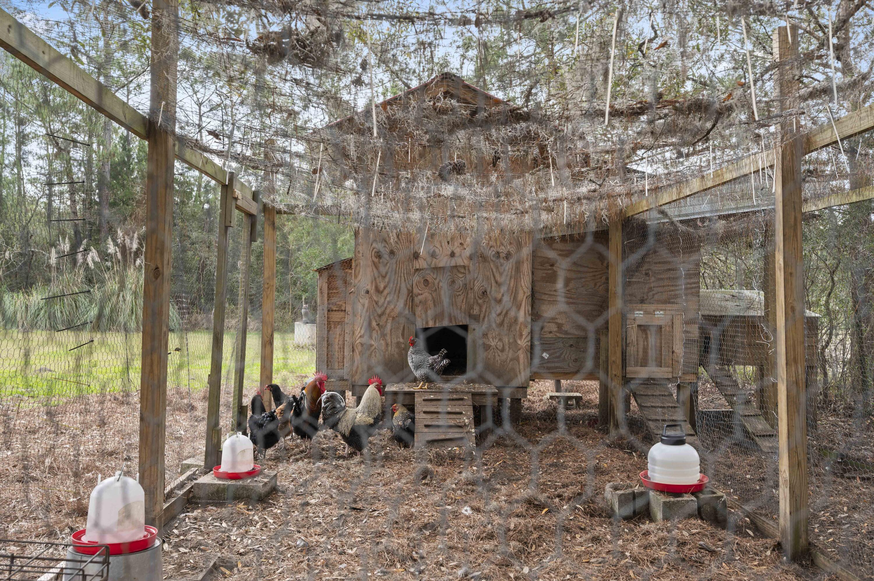 4758 Wilson Road Meggett, SC 29449 - Photo 8 of 36 DSC_1450