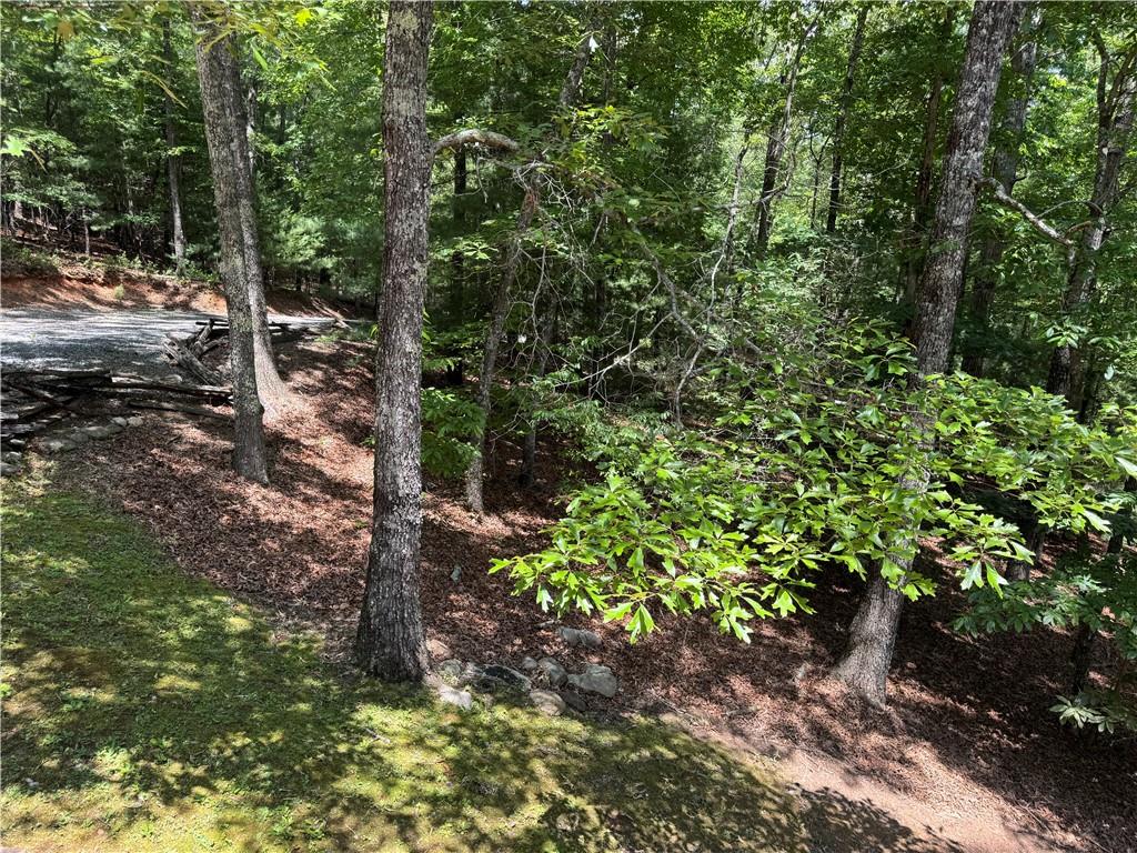 35 Big Buck Circle Blue Ridge, GA 30513 - Photo 12 of 61
