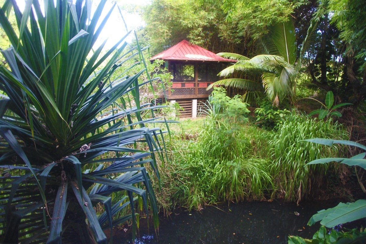 3680 Moloaa Road Kilauea, HI 96754 - Photo 24 of 30 Gallery Image 24