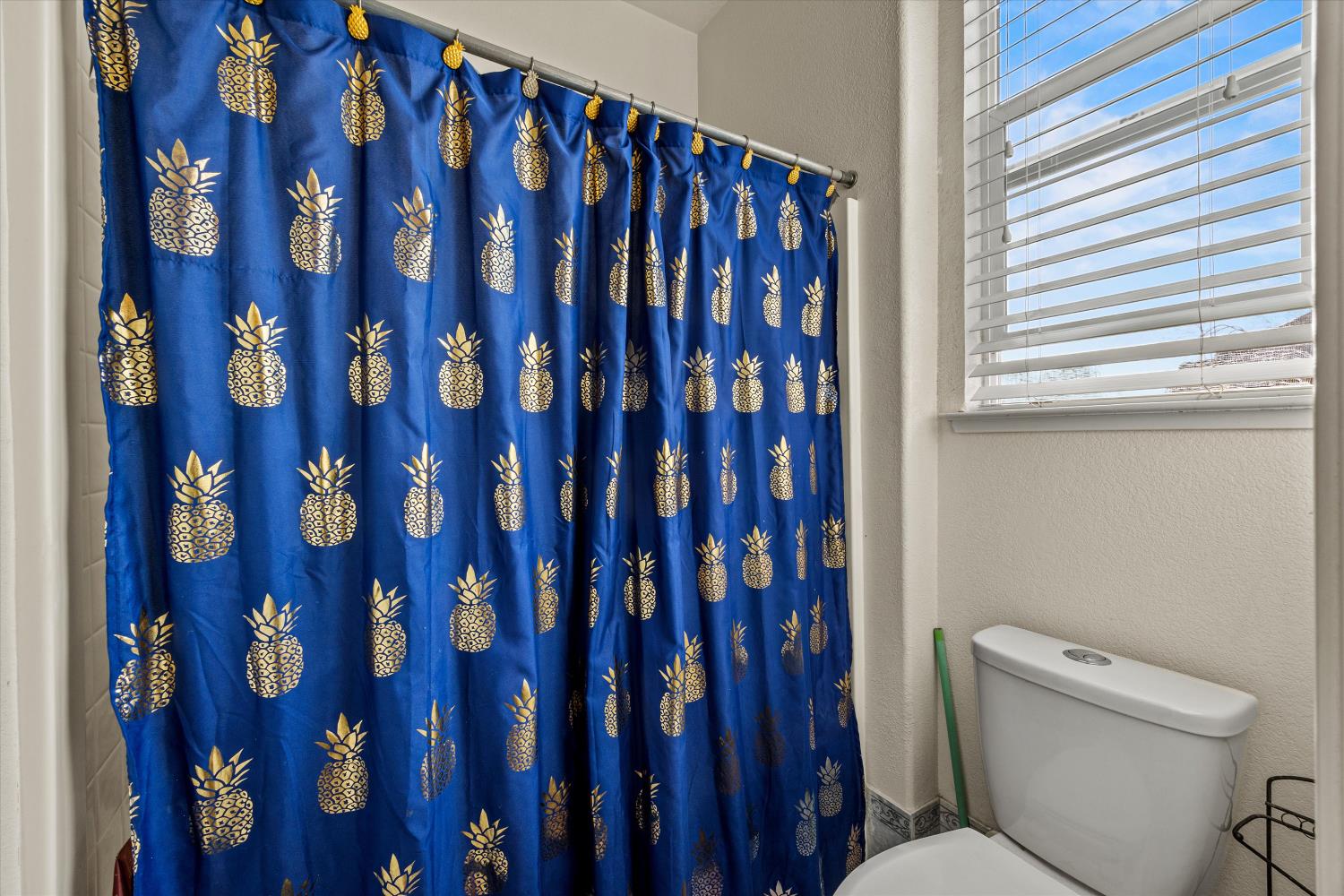 9820 Spring View Way Elk Grove, CA 95757 - Photo 33 of 48