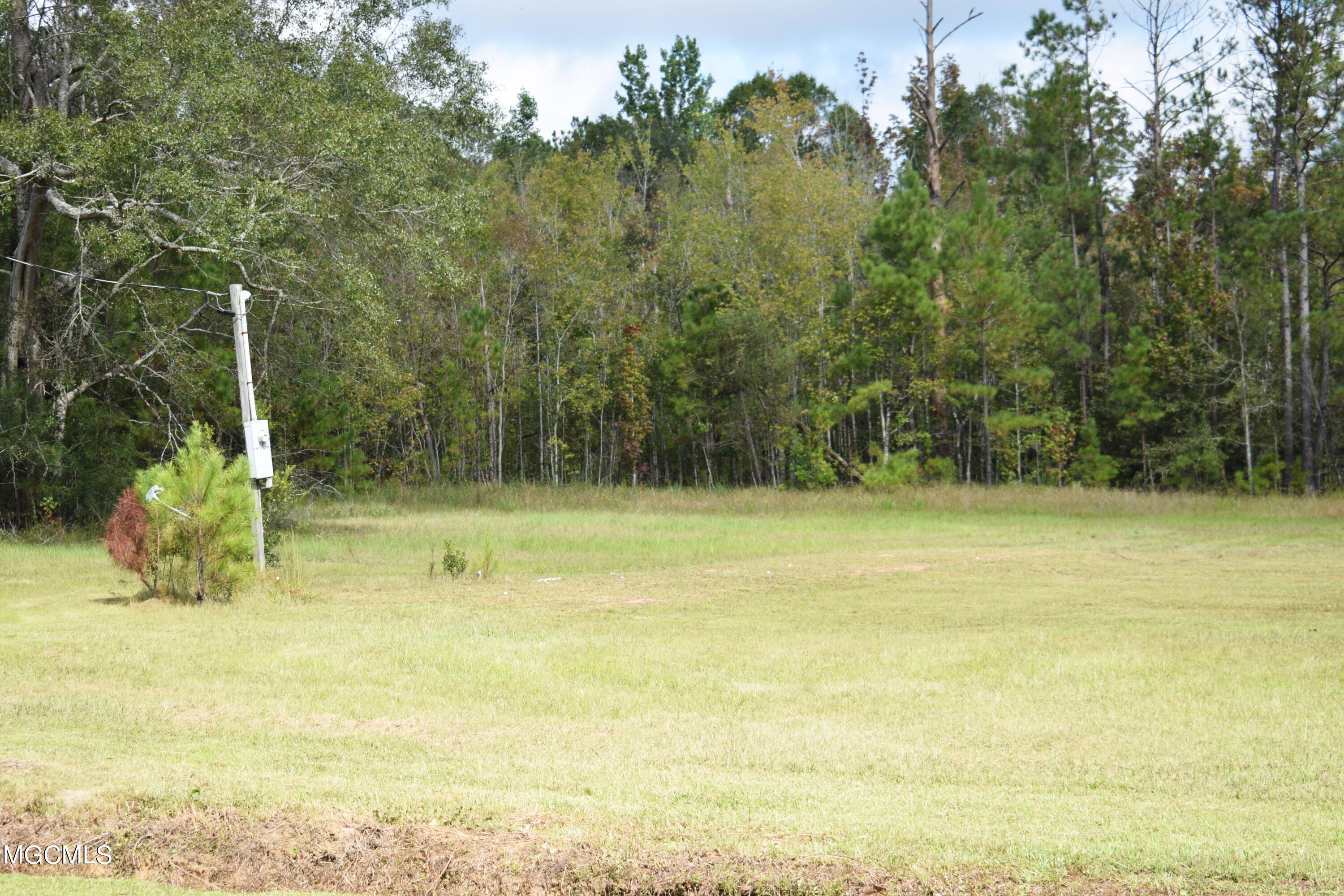 9157 River Road Lucedale, MS 39452 - Photo 54 of 54 DSC_0099