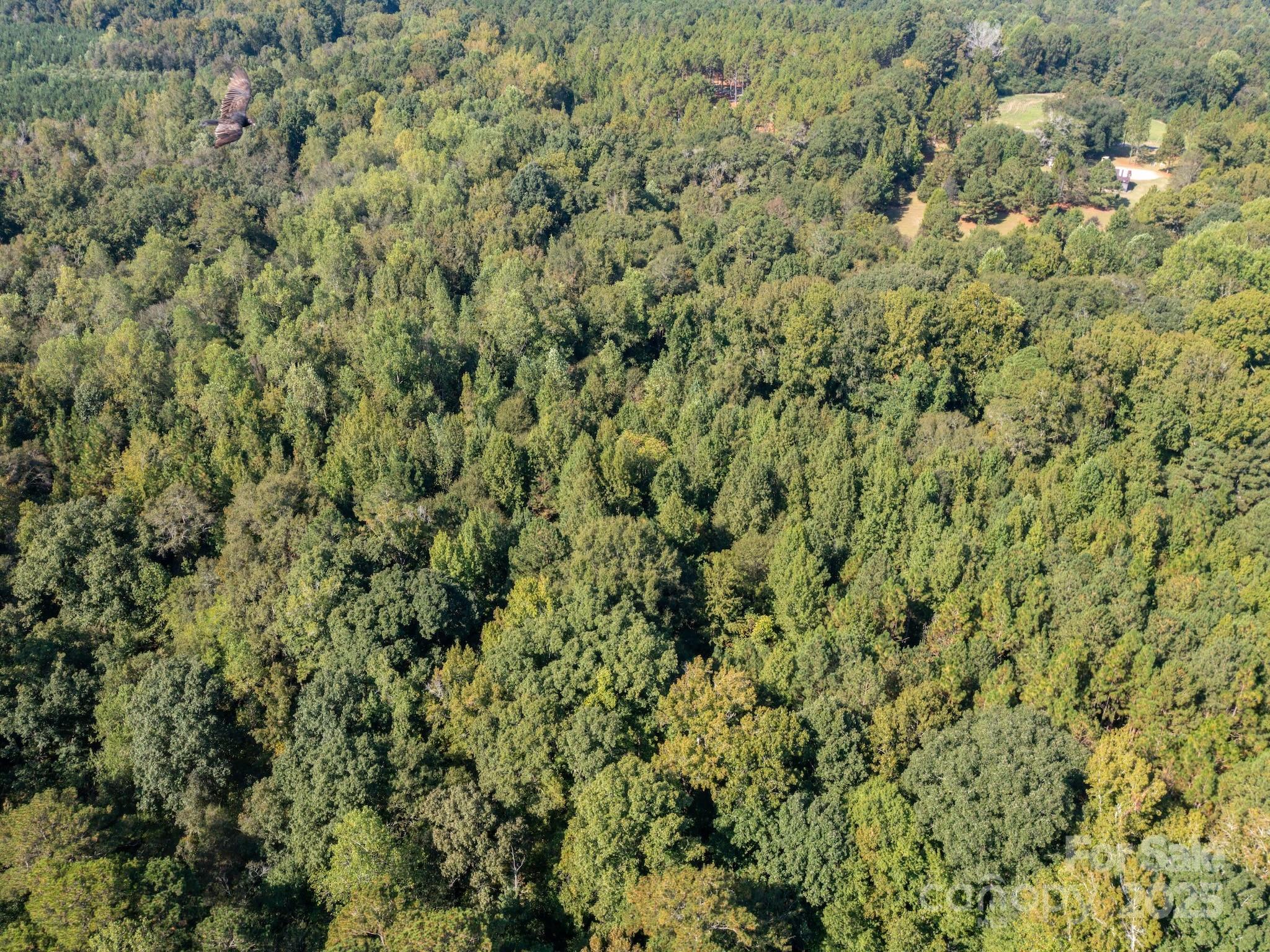 1788 Sandhill Game Management Road Rockingham, NC 28379 - Photo 17 of 37 Gallery Image 17