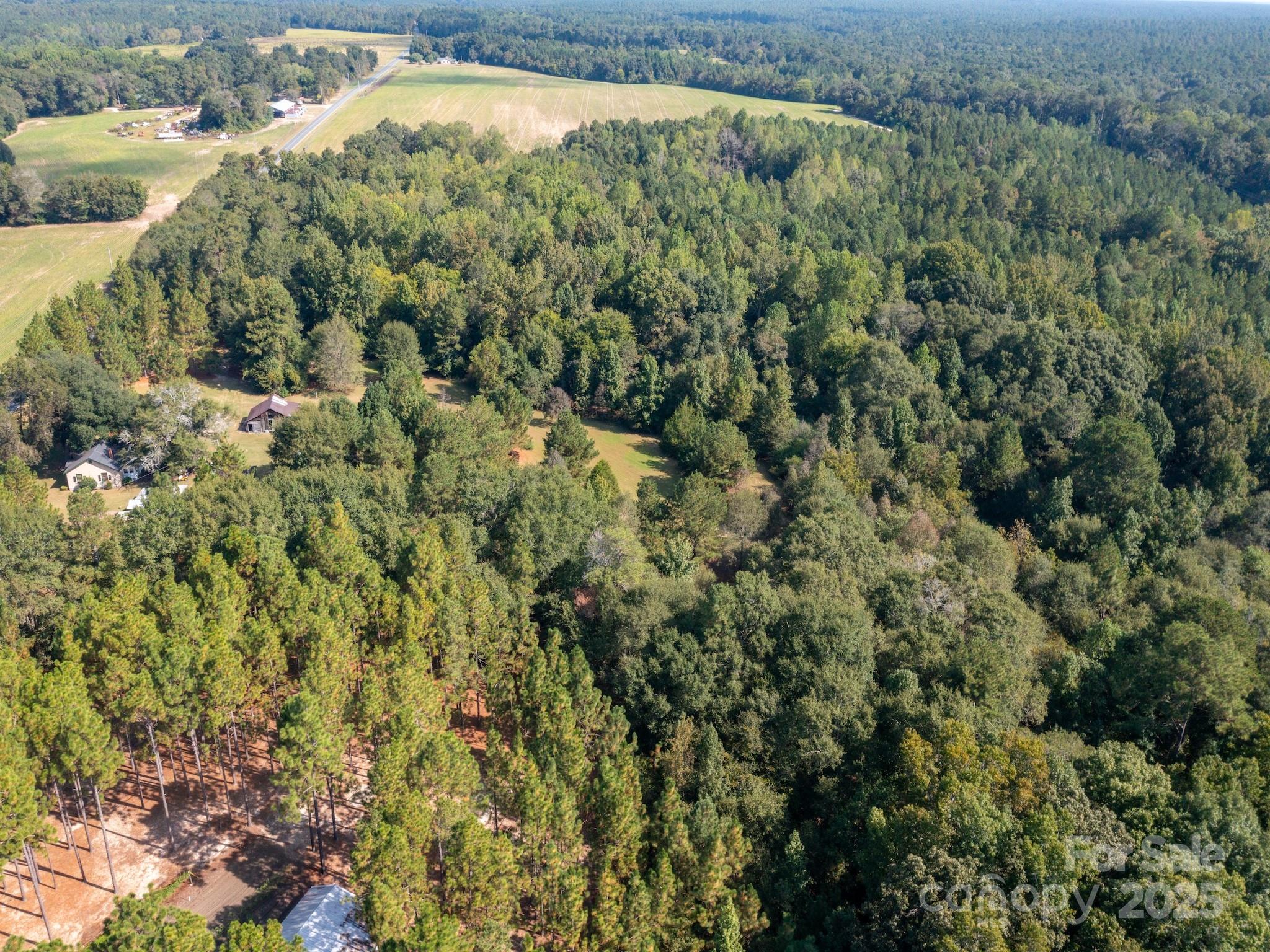1788 Sandhill Game Management Road Rockingham, NC 28379 - Photo 18 of 37 Gallery Image 18
