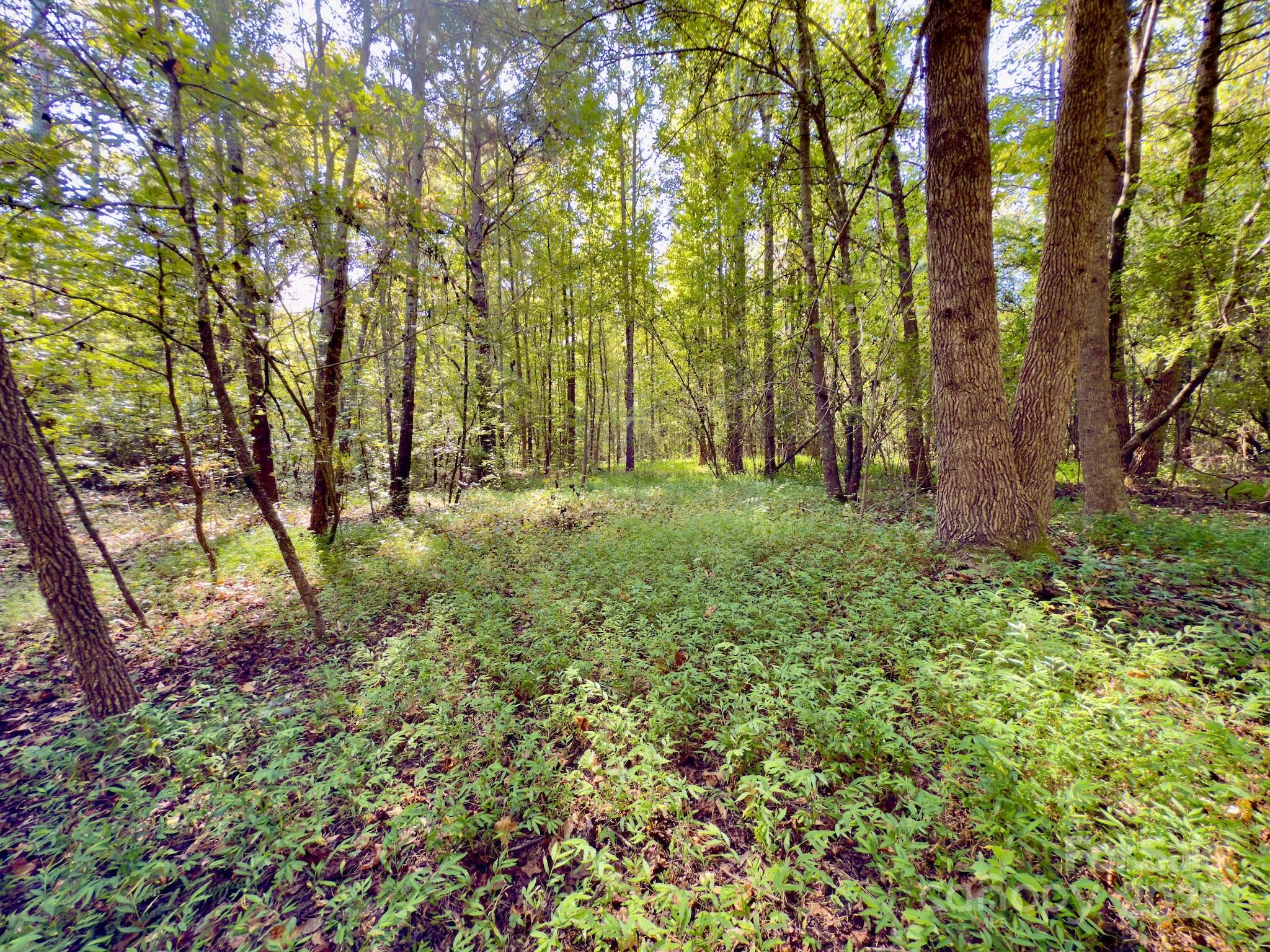1788 Sandhill Game Management Road Rockingham, NC 28379 - Photo 20 of 37 Gallery Image 20