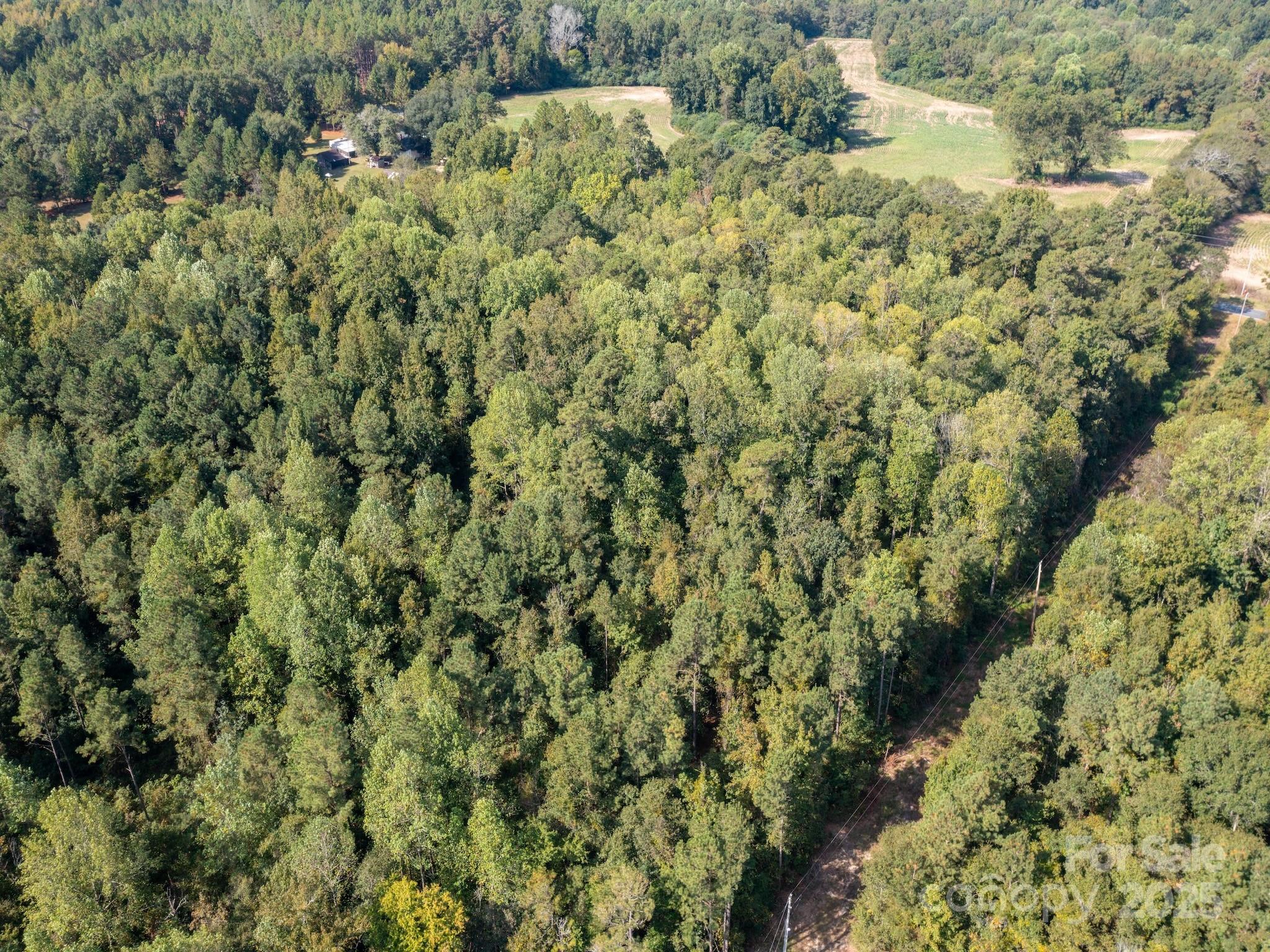 1788 Sandhill Game Management Road Rockingham, NC 28379 - Photo 2 of 37 Gallery Image 2