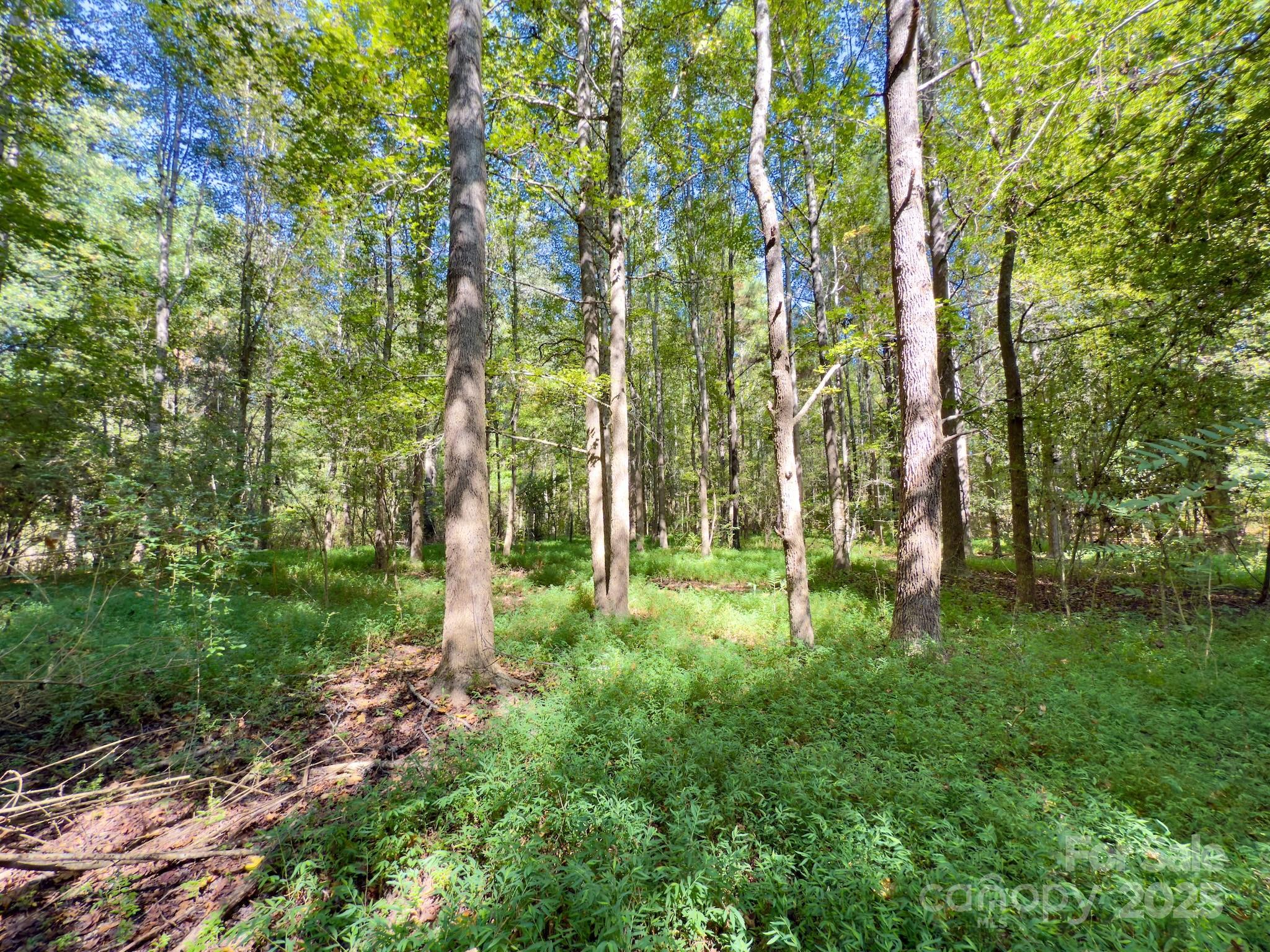 1788 Sandhill Game Management Road Rockingham, NC 28379 - Photo 21 of 37 Gallery Image 21