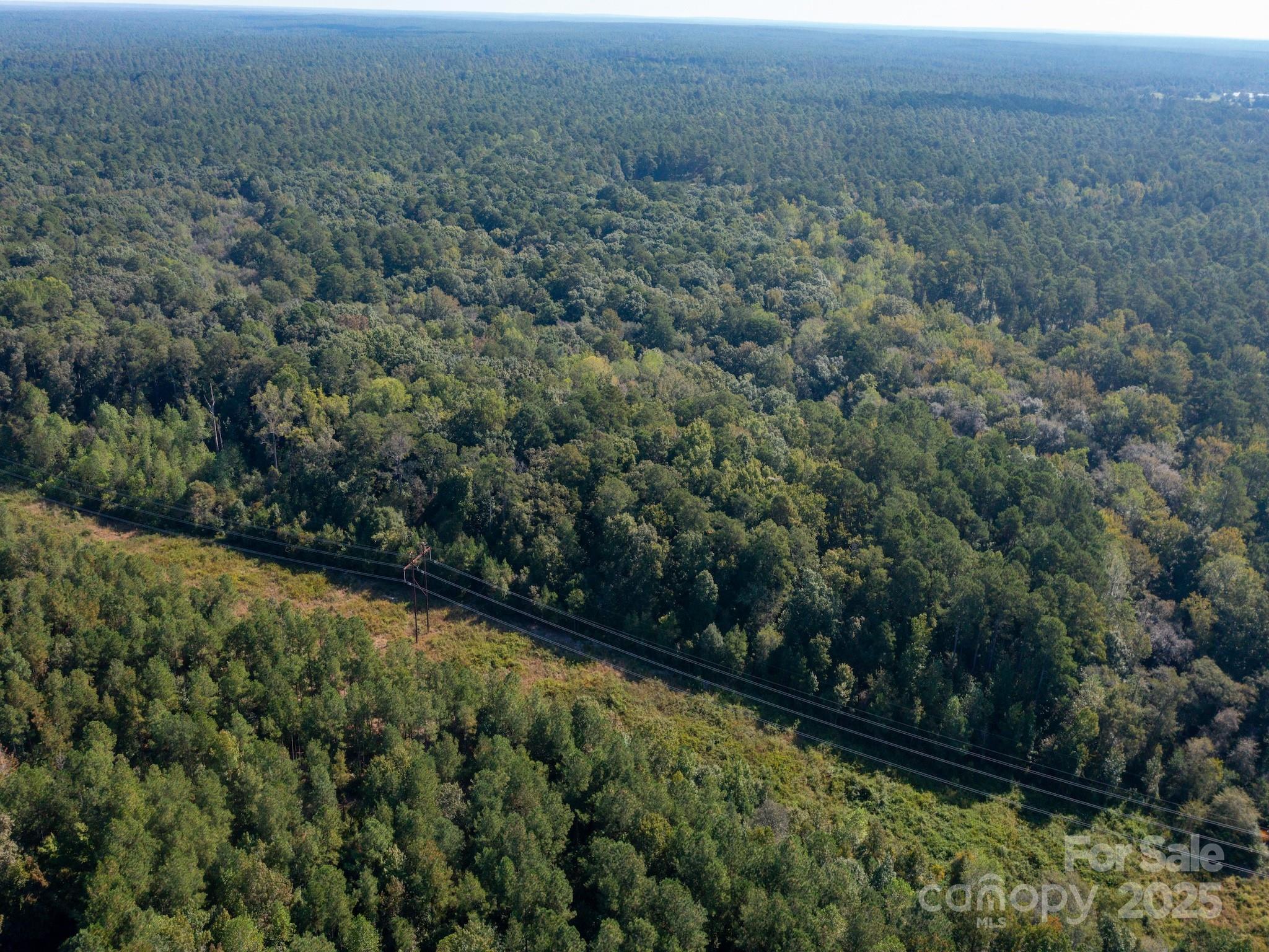 1788 Sandhill Game Management Road Rockingham, NC 28379 - Photo 24 of 37 Gallery Image 24
