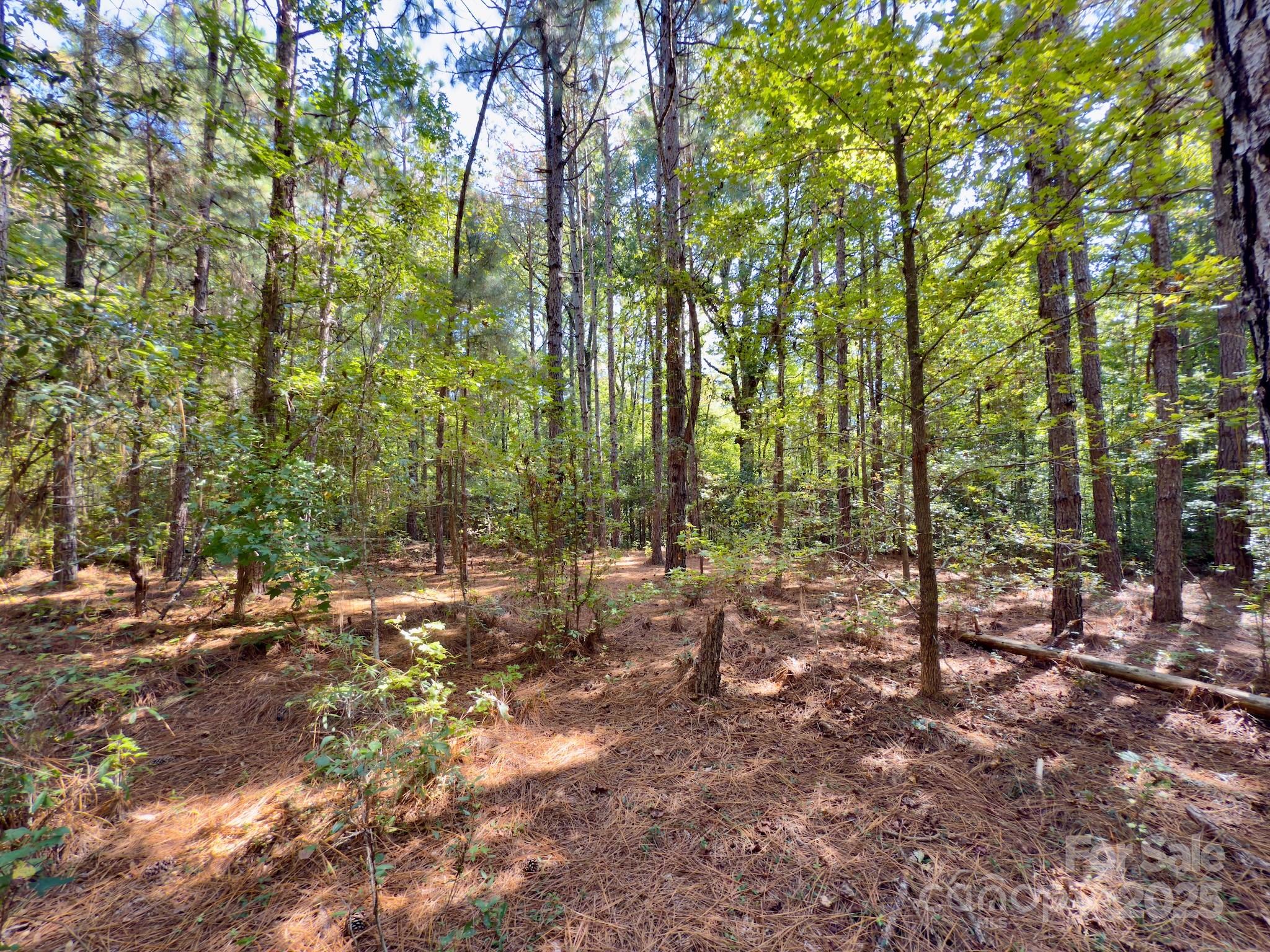 1788 Sandhill Game Management Road Rockingham, NC 28379 - Photo 25 of 37 Gallery Image 25