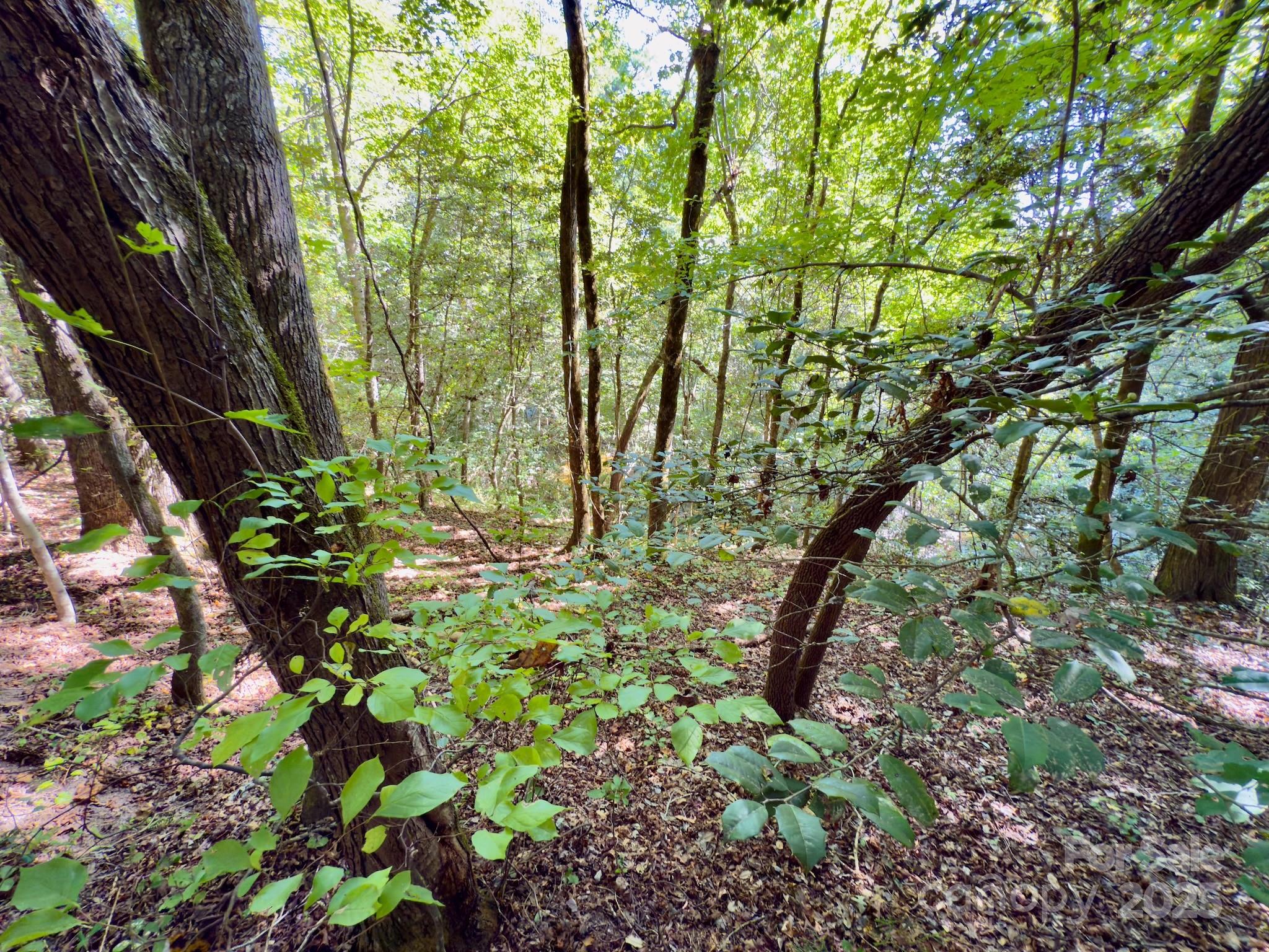 1788 Sandhill Game Management Road Rockingham, NC 28379 - Photo 27 of 37 Gallery Image 27