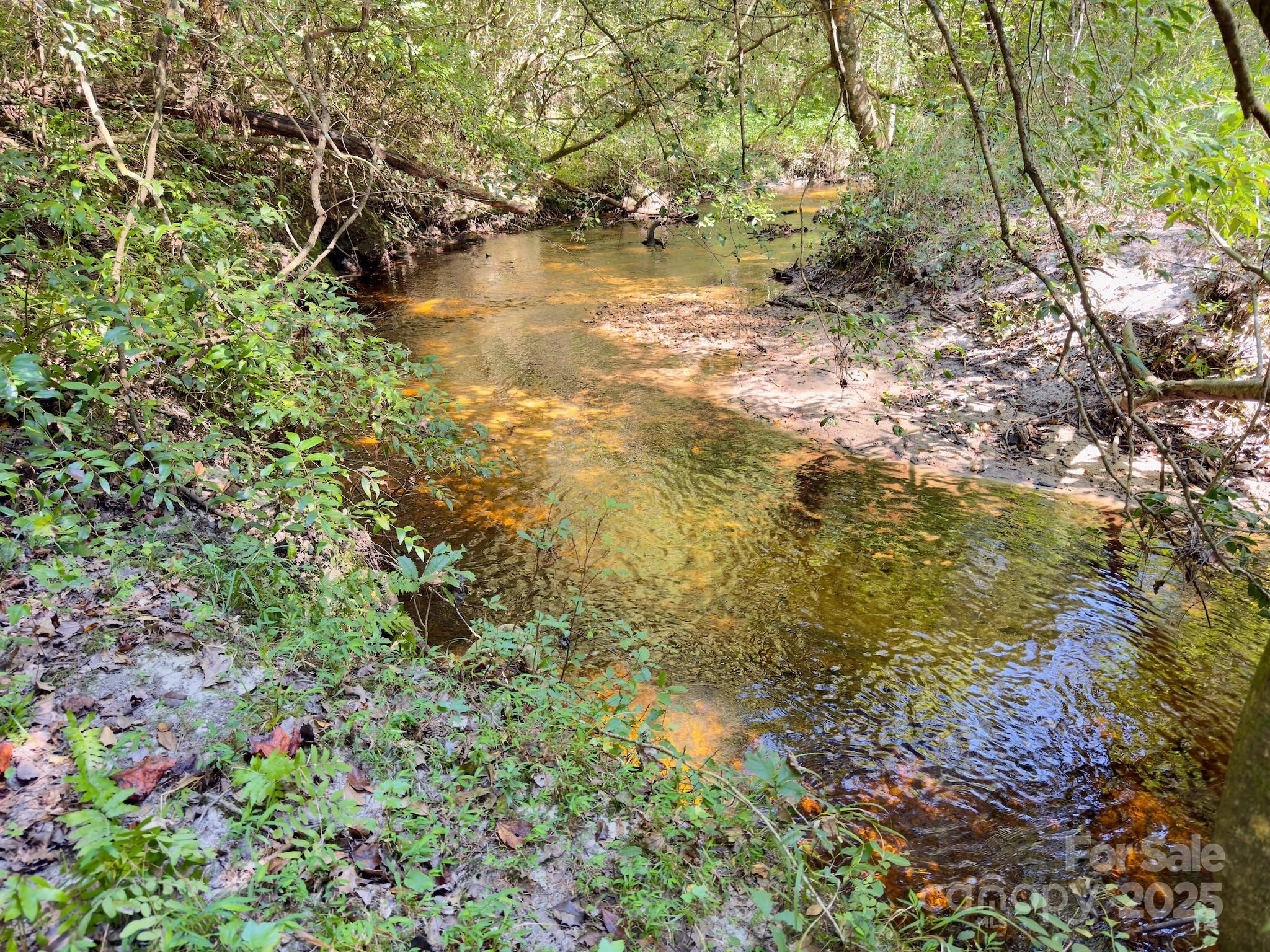 1788 Sandhill Game Management Road Rockingham, NC 28379 - Photo 28 of 37 Gallery Image 28