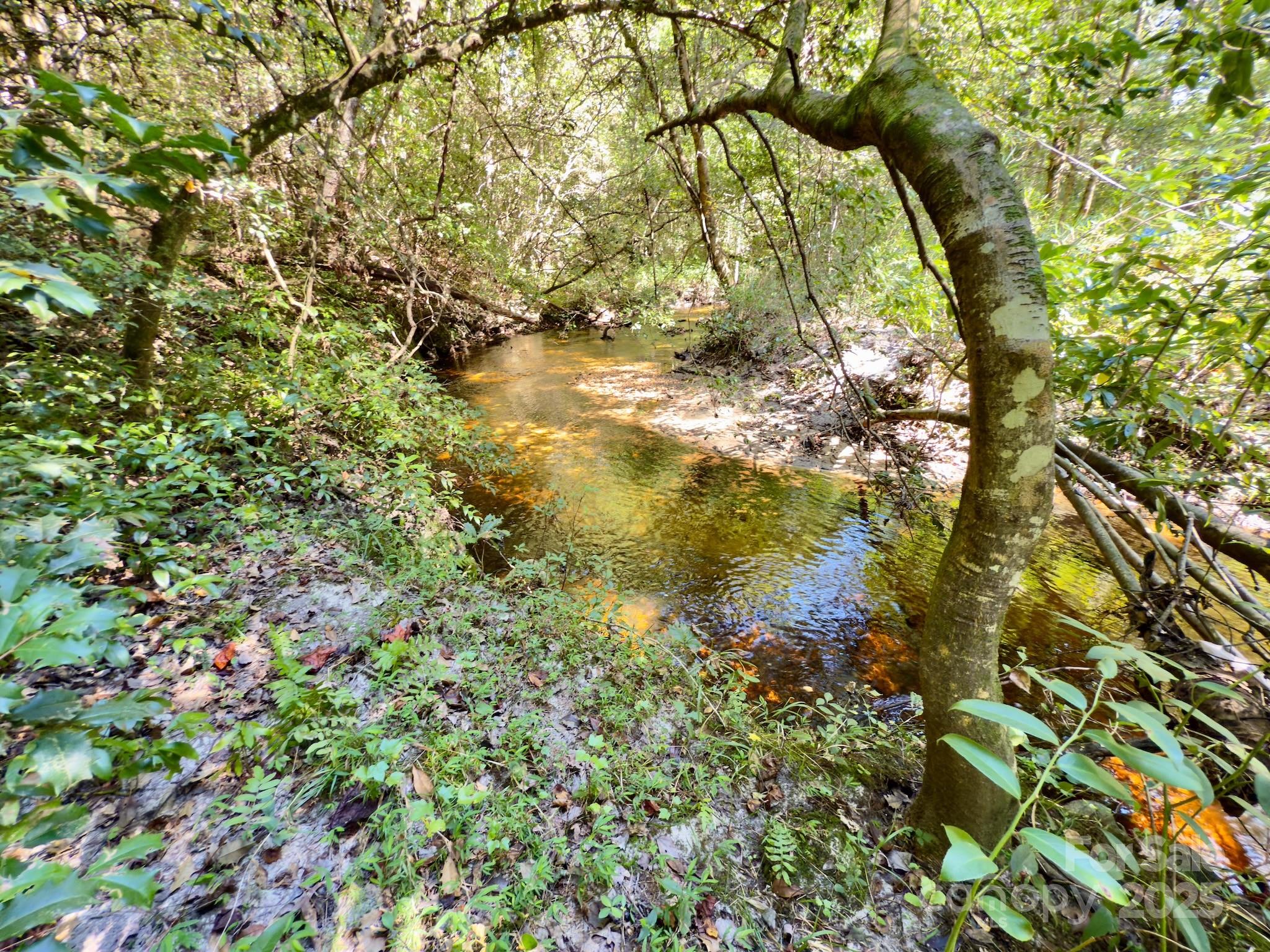 1788 Sandhill Game Management Road Rockingham, NC 28379 - Photo 29 of 37 Gallery Image 29