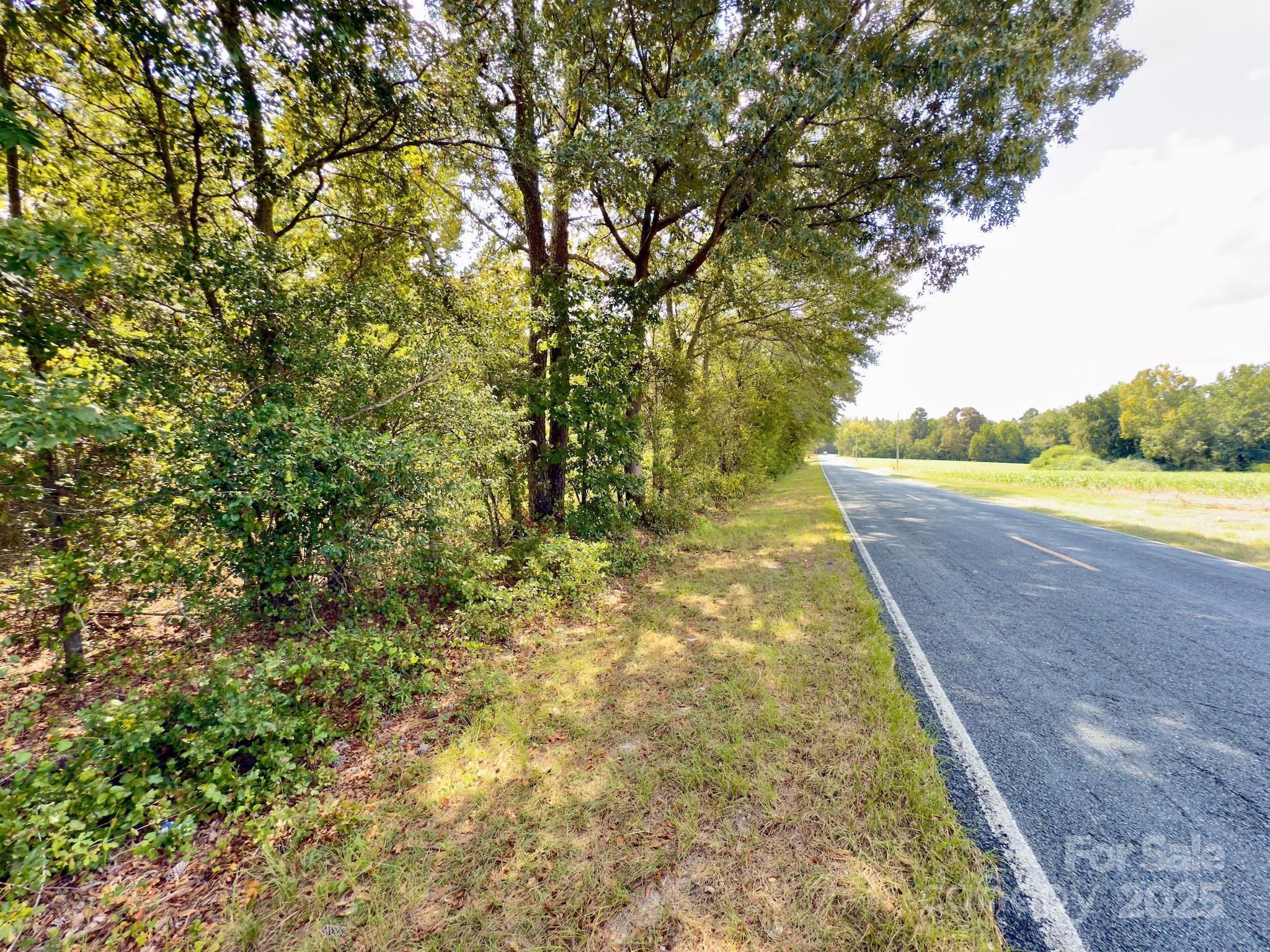 1788 Sandhill Game Management Road Rockingham, NC 28379 - Photo 3 of 37 Gallery Image 3