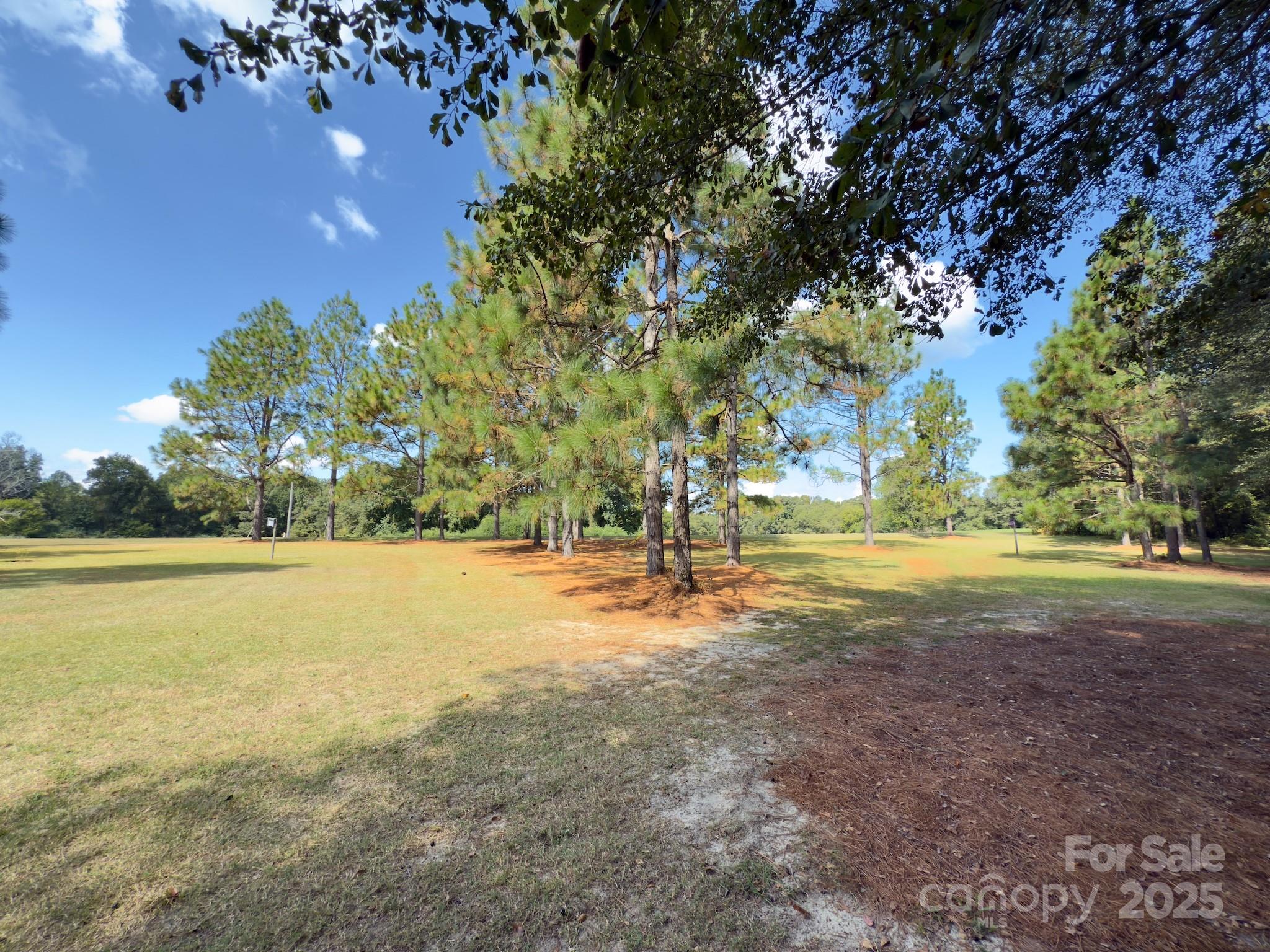1788 Sandhill Game Management Road Rockingham, NC 28379 - Photo 33 of 37 Gallery Image 33