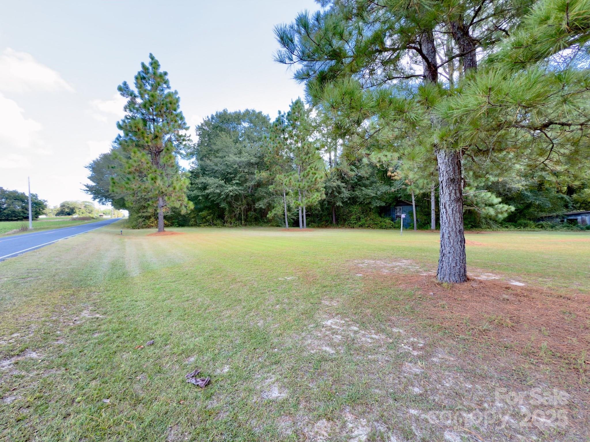 1788 Sandhill Game Management Road Rockingham, NC 28379 - Photo 4 of 37 Gallery Image 4