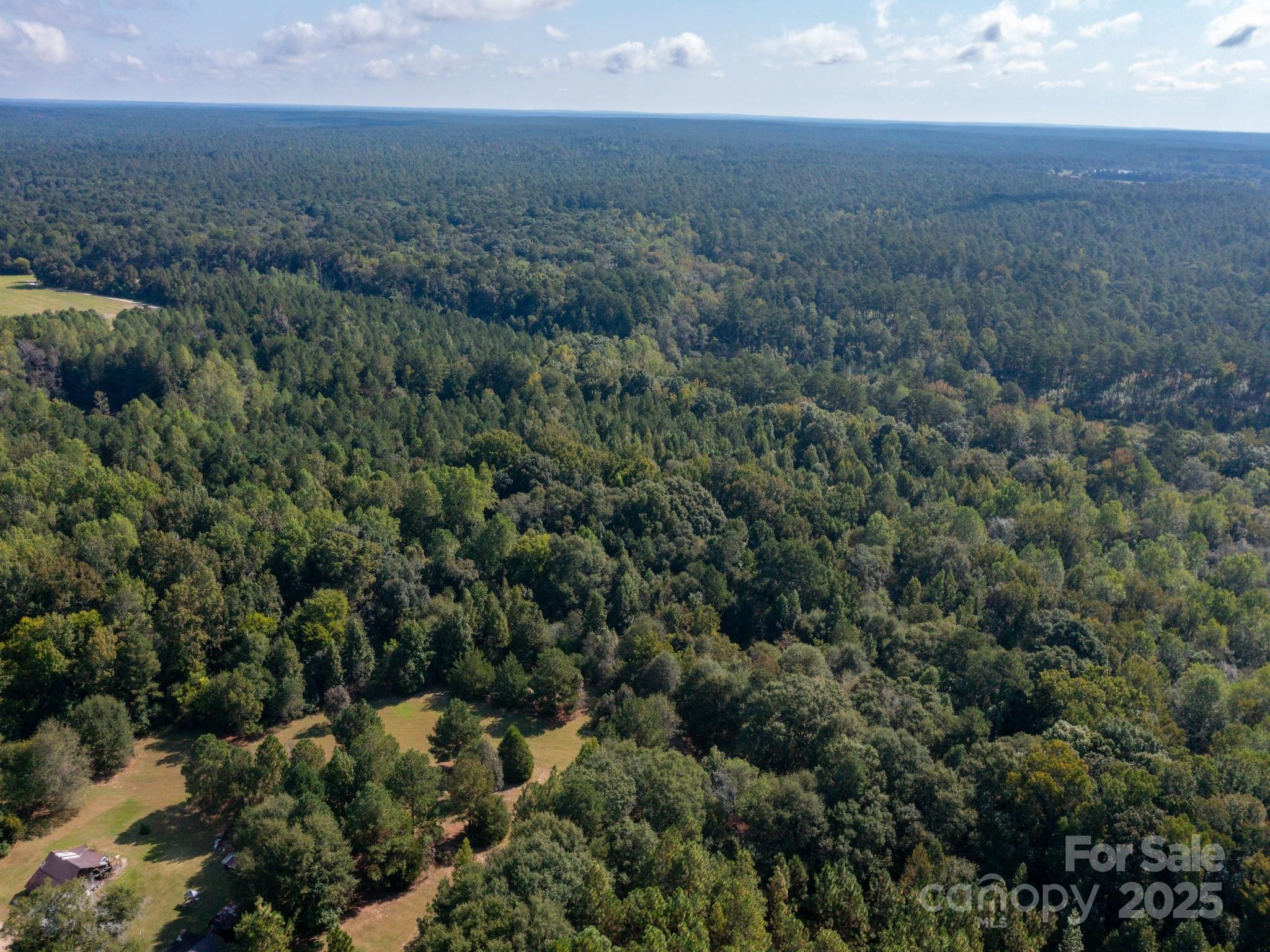 1788 Sandhill Game Management Road Rockingham, NC 28379 - Photo 5 of 37 Gallery Image 5