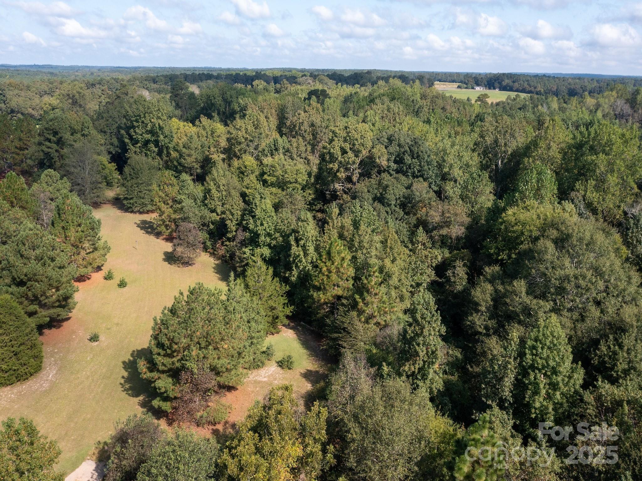 1788 Sandhill Game Management Road Rockingham, NC 28379 - Photo 6 of 37 Gallery Image 6