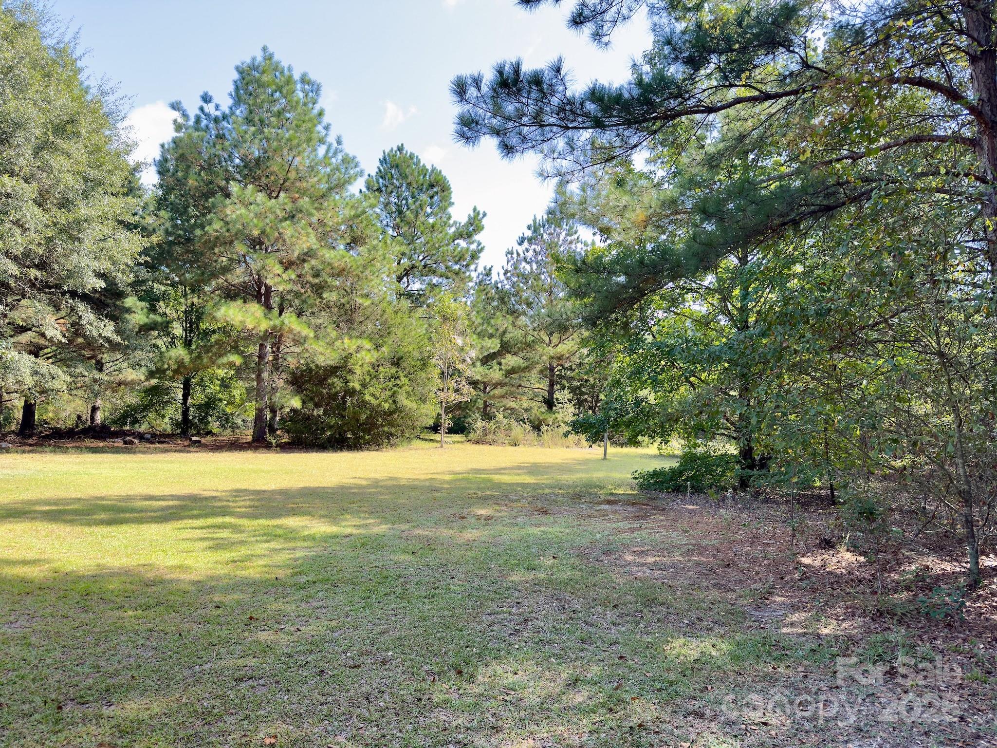 1788 Sandhill Game Management Road Rockingham, NC 28379 - Photo 7 of 37 Gallery Image 7