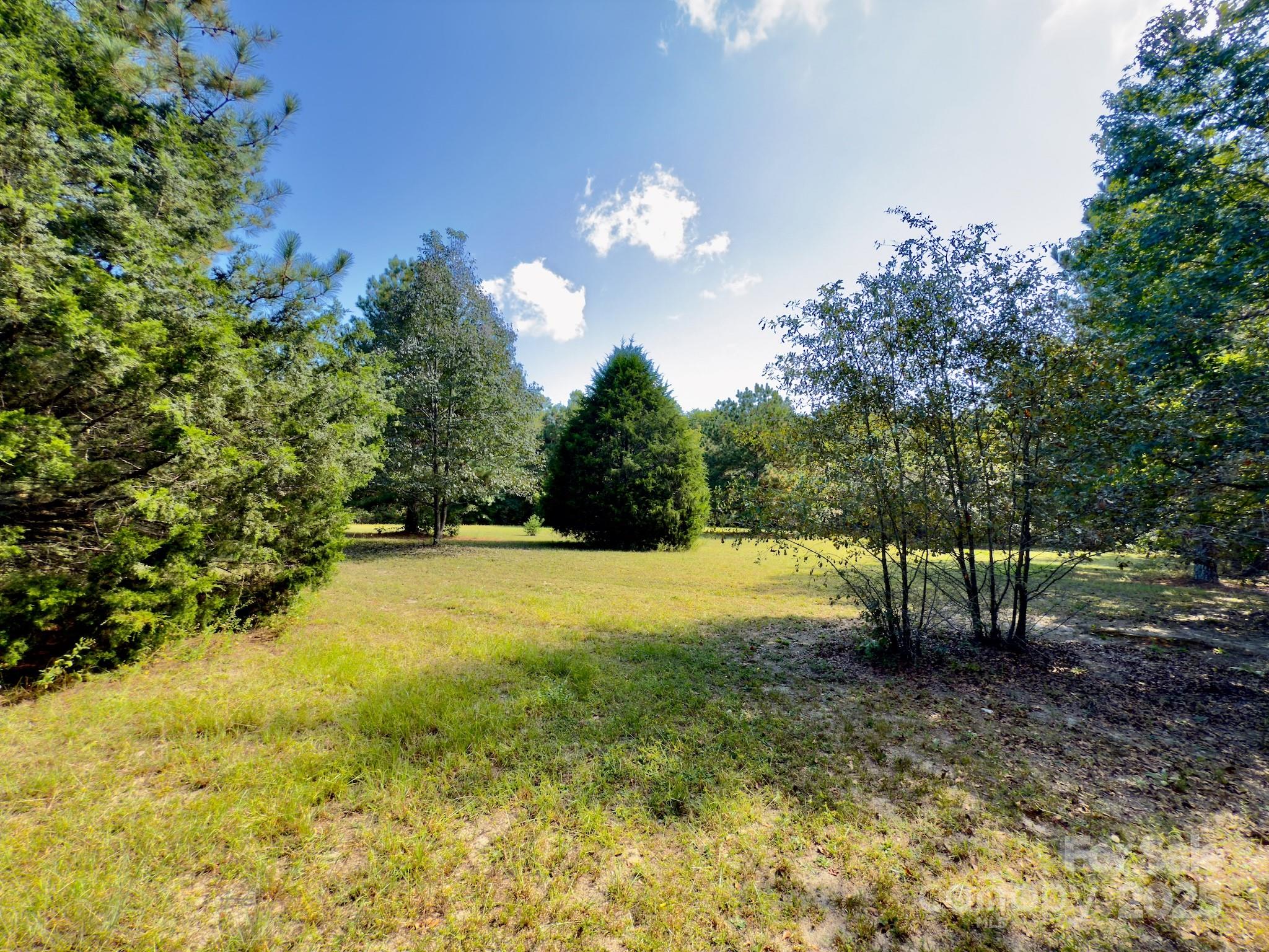 1788 Sandhill Game Management Road Rockingham, NC 28379 - Photo 8 of 37 Gallery Image 8
