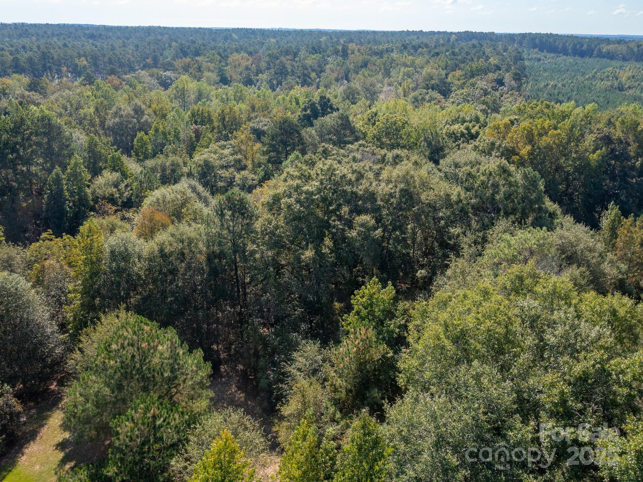 1788 Sandhill Game Management Road Rockingham, NC 28379 - Photo 9 of 37 Gallery Image 9