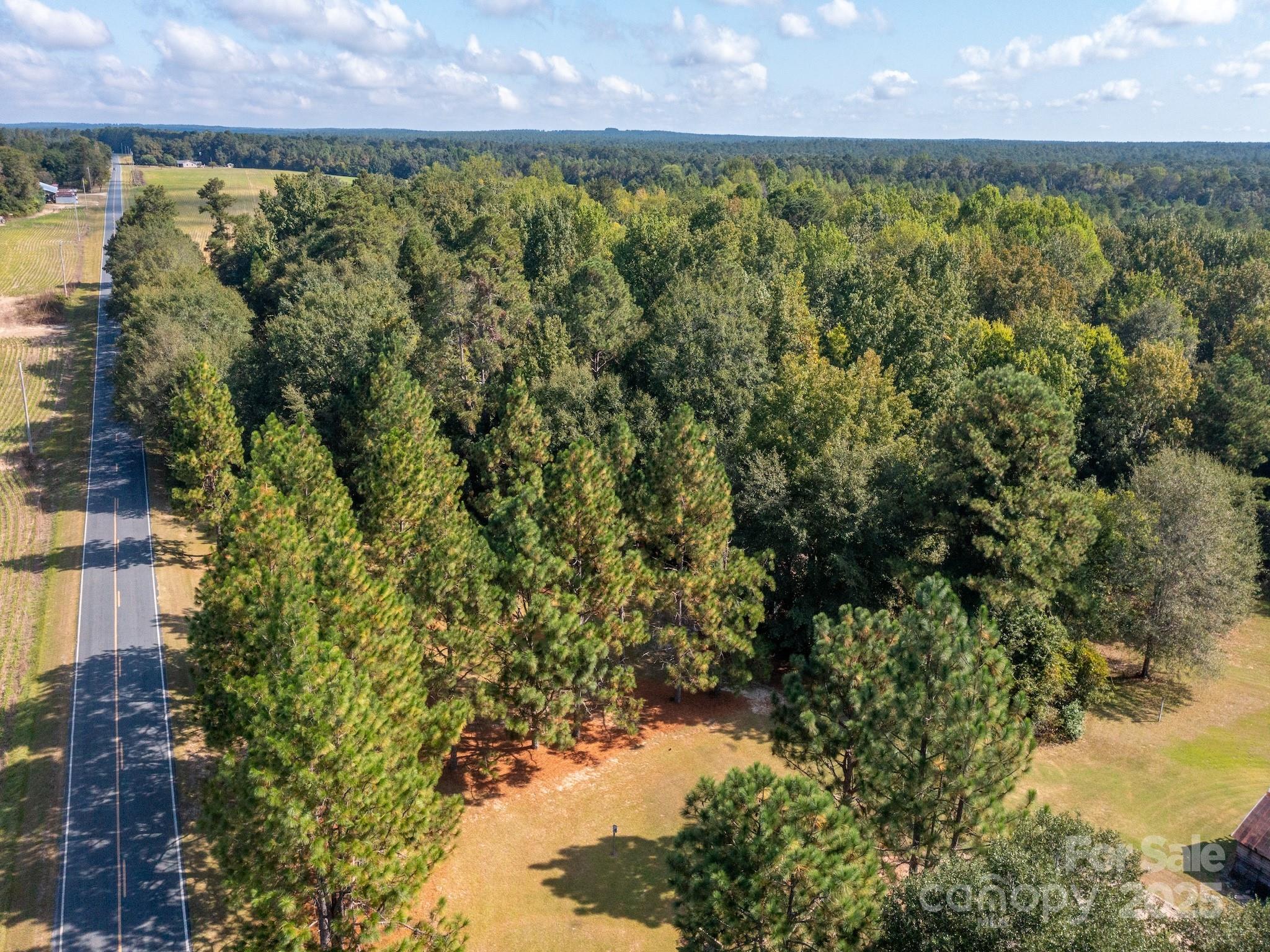 1788 Sandhill Game Management Road Rockingham, NC 28379 - Photo 10 of 37 Gallery Image 10