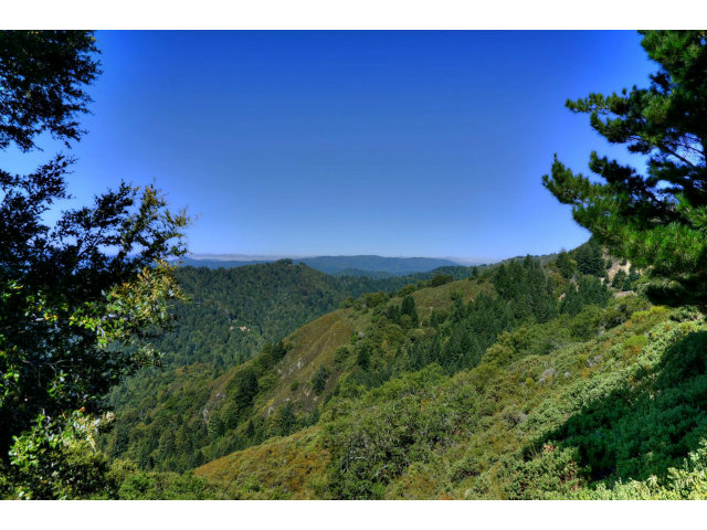 18554 Favre Ridge Road Los Gatos, CA 95033 - Photo 17 of 21 a view of a bunch of flowers