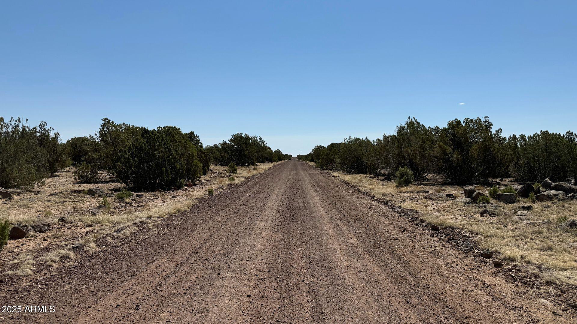 0 Colts Way, Unit 2005 Snowflake, AZ 85937 - Photo 2 of 8 a view of a dry yard with trees in the background