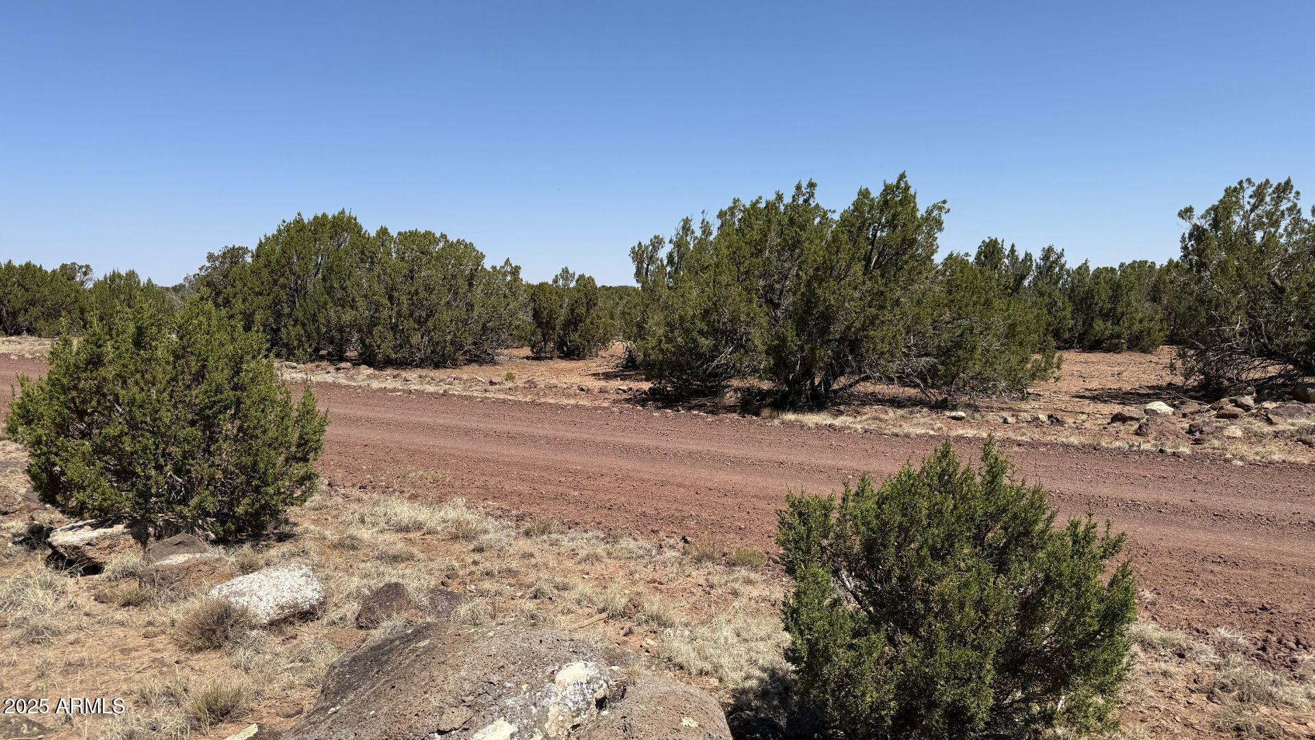 0 Colts Way, Unit 2005 Snowflake, AZ 85937 - Photo 3 of 8 a view of dirt field with trees