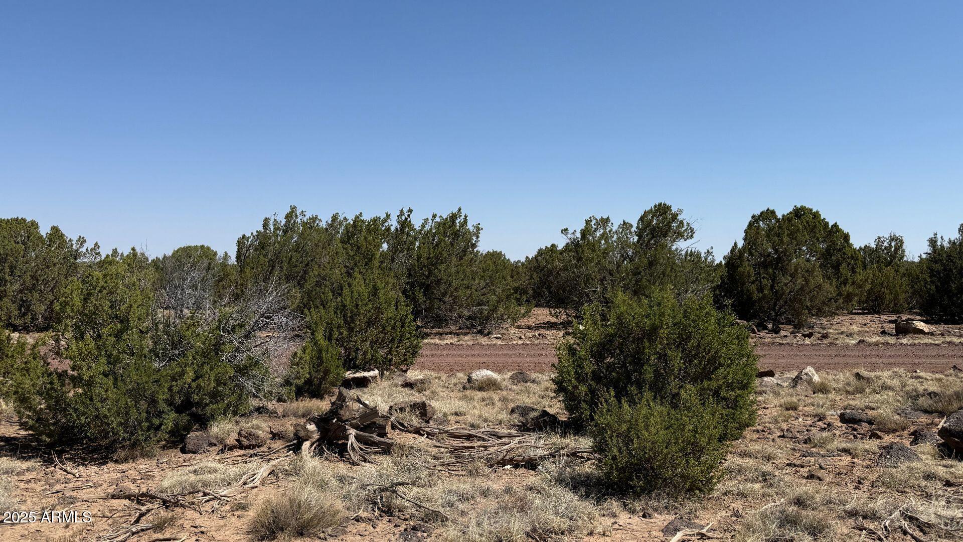 0 Colts Way, Unit 2005 Snowflake, AZ 85937 - Photo 5 of 8 a view of a yard with a tree