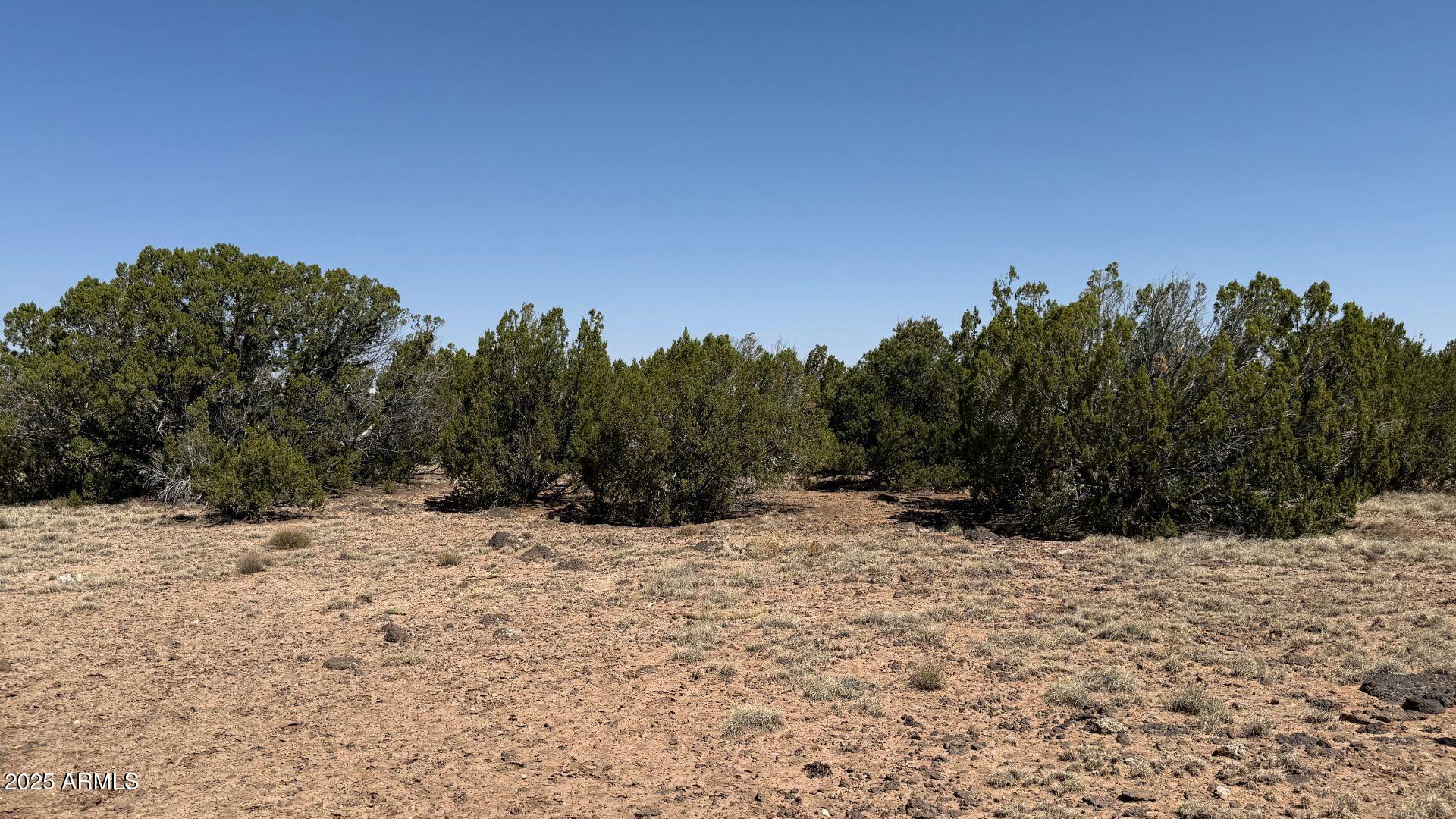 0 Colts Way, Unit 2005 Snowflake, AZ 85937 - Photo 7 of 8 a view of a snow covered with snow in the background