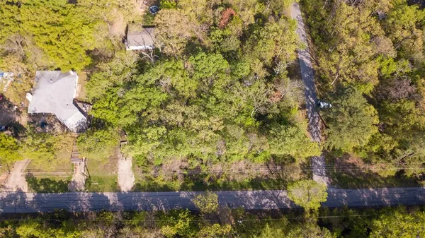 a close up of a tree